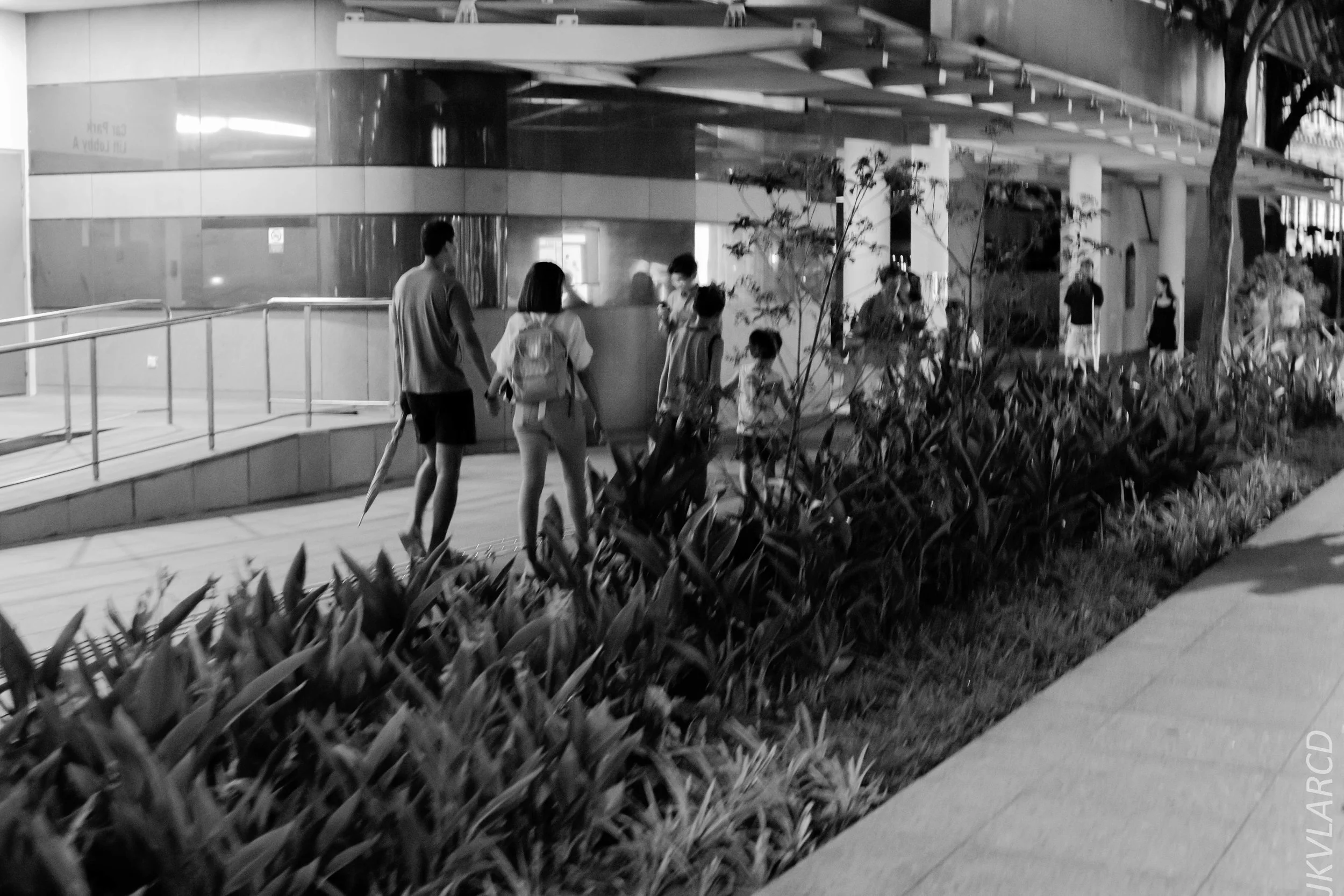 EOS 7D Mark II_2019_08_30_6477.jpg