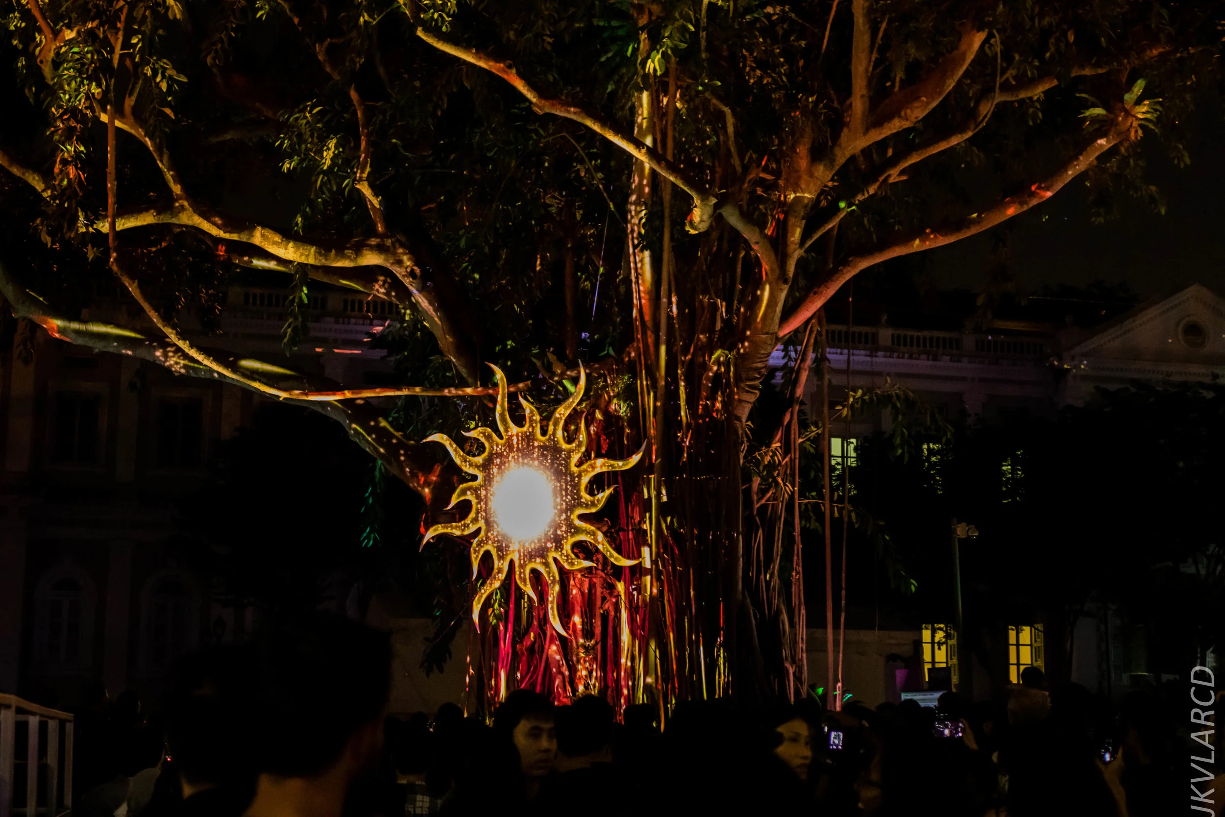 EOS 7D Mark II_2019_08_30_6480.jpg