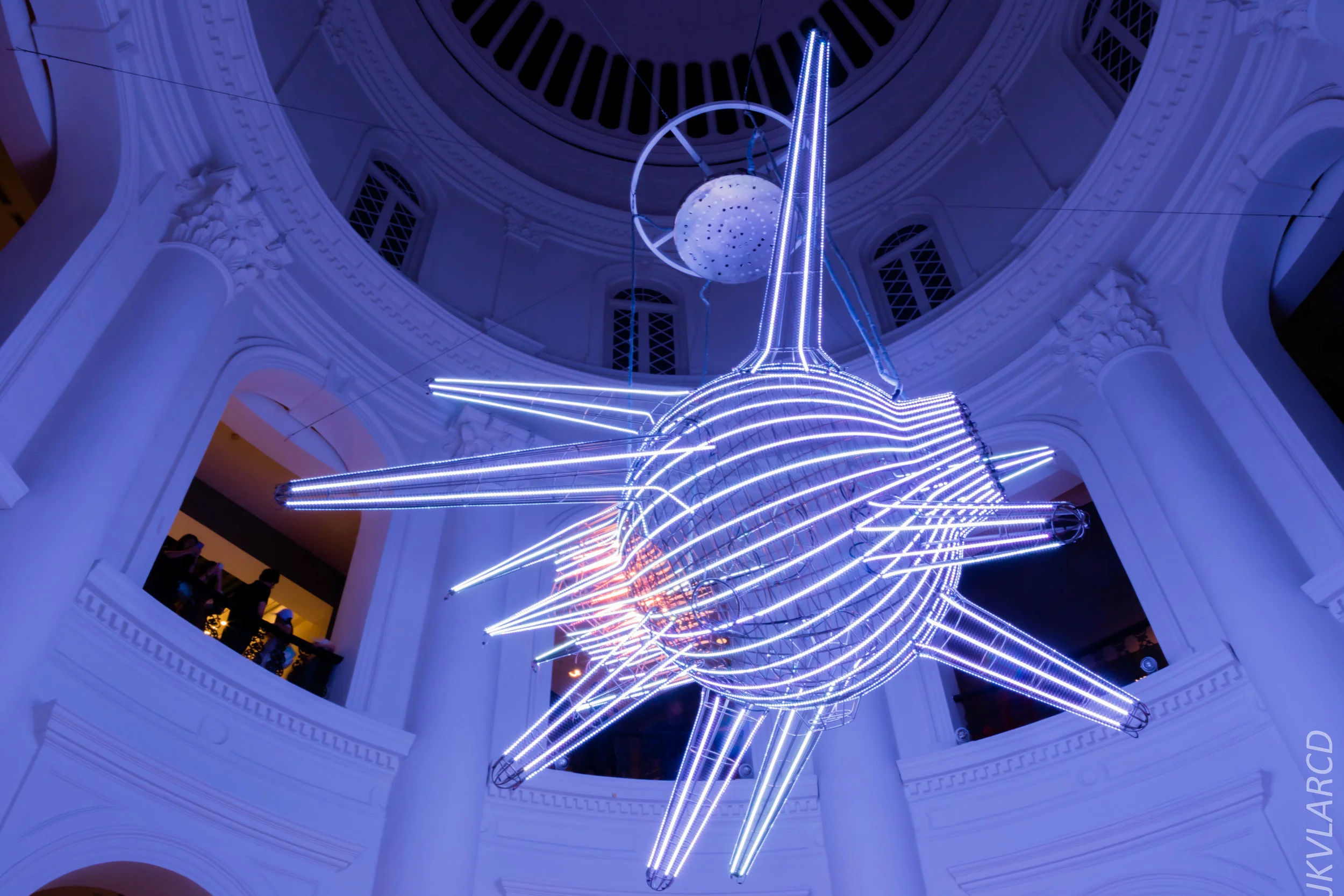 EOS 7D Mark II_2019_08_30_6493.jpg