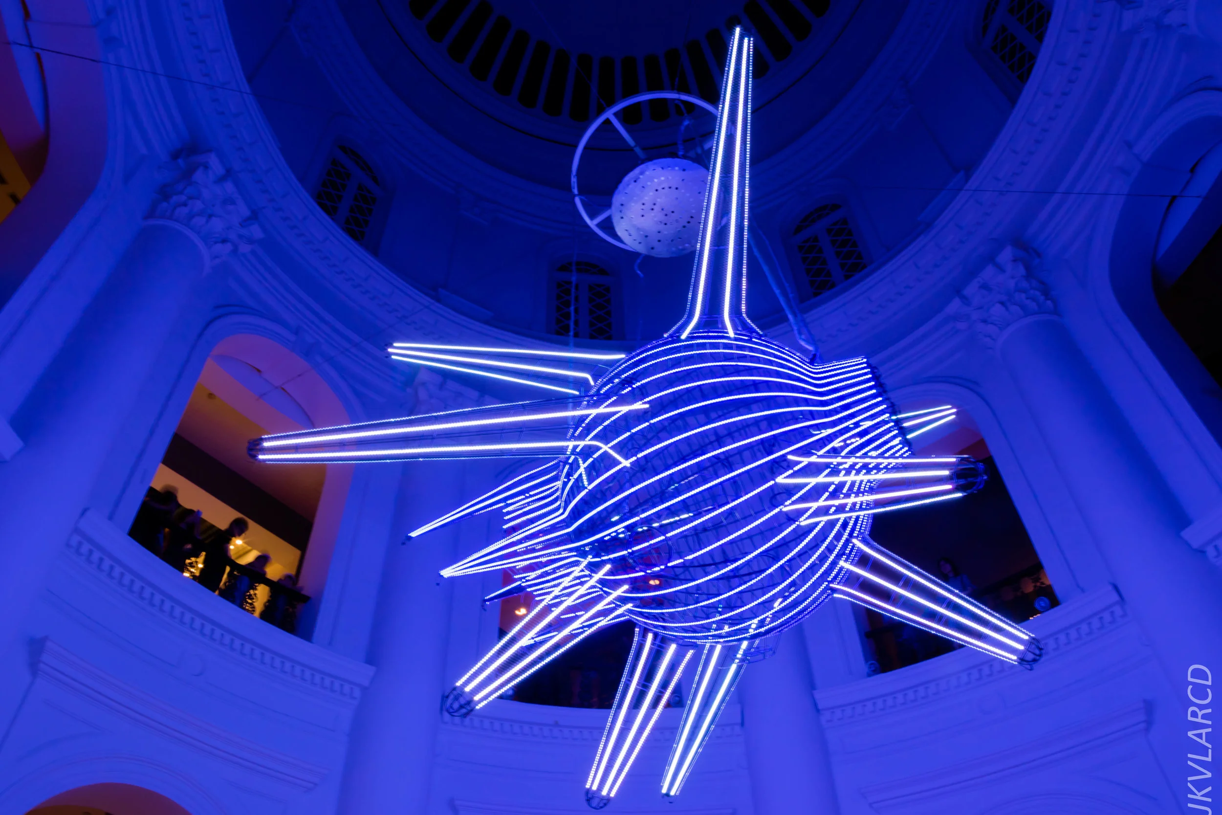 EOS 7D Mark II_2019_08_30_6494.jpg