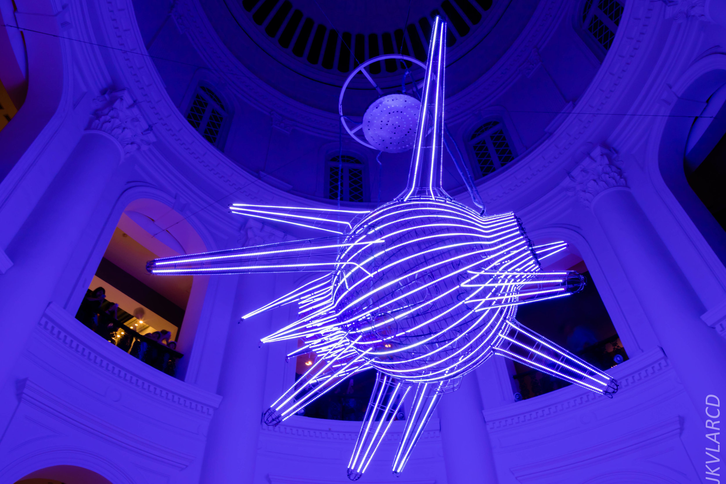 EOS 7D Mark II_2019_08_30_6495.jpg