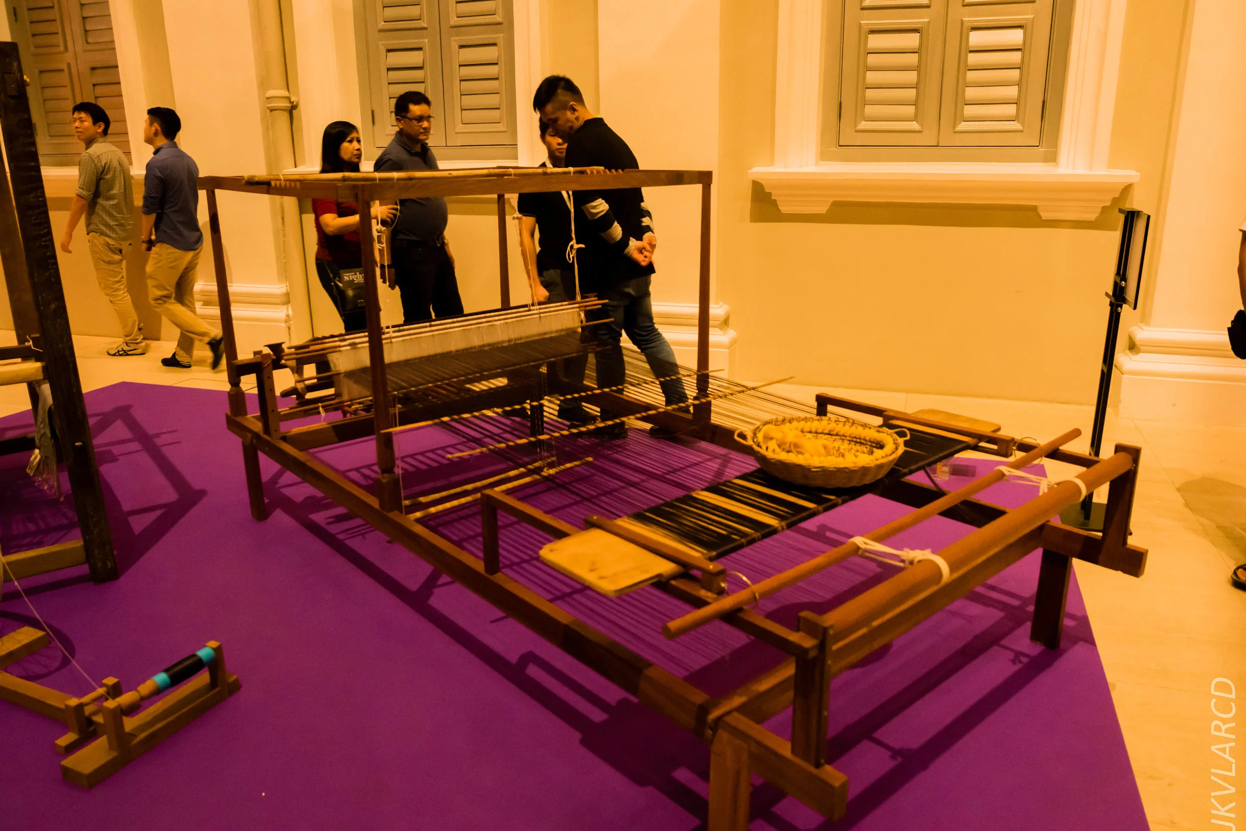 EOS 7D Mark II_2019_08_30_6500.jpg