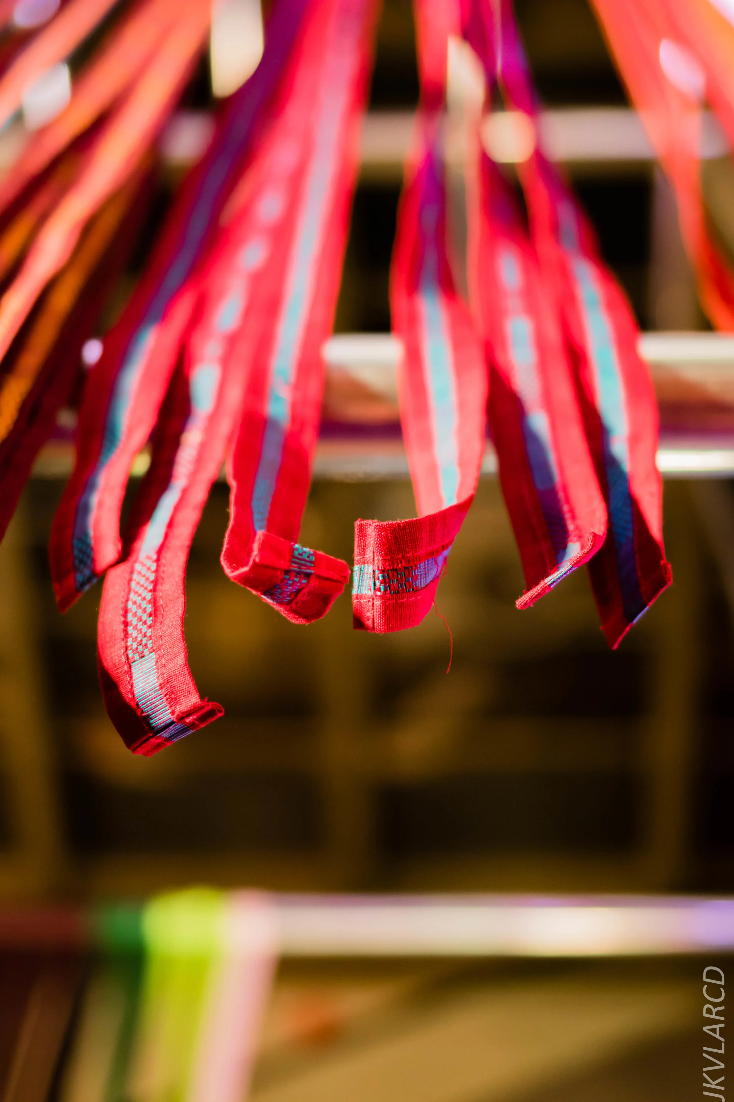 EOS 7D Mark II_2019_08_30_6502.jpg