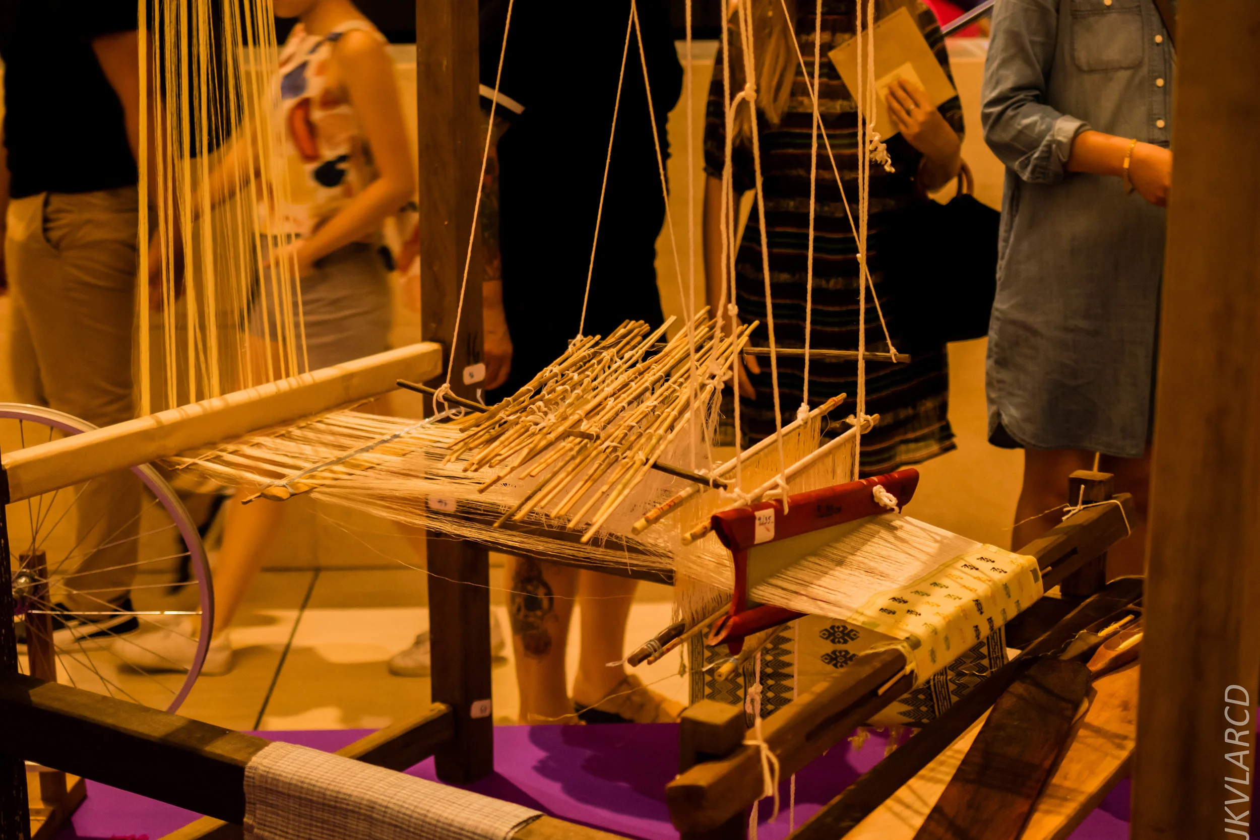 EOS 7D Mark II_2019_08_30_6506.jpg