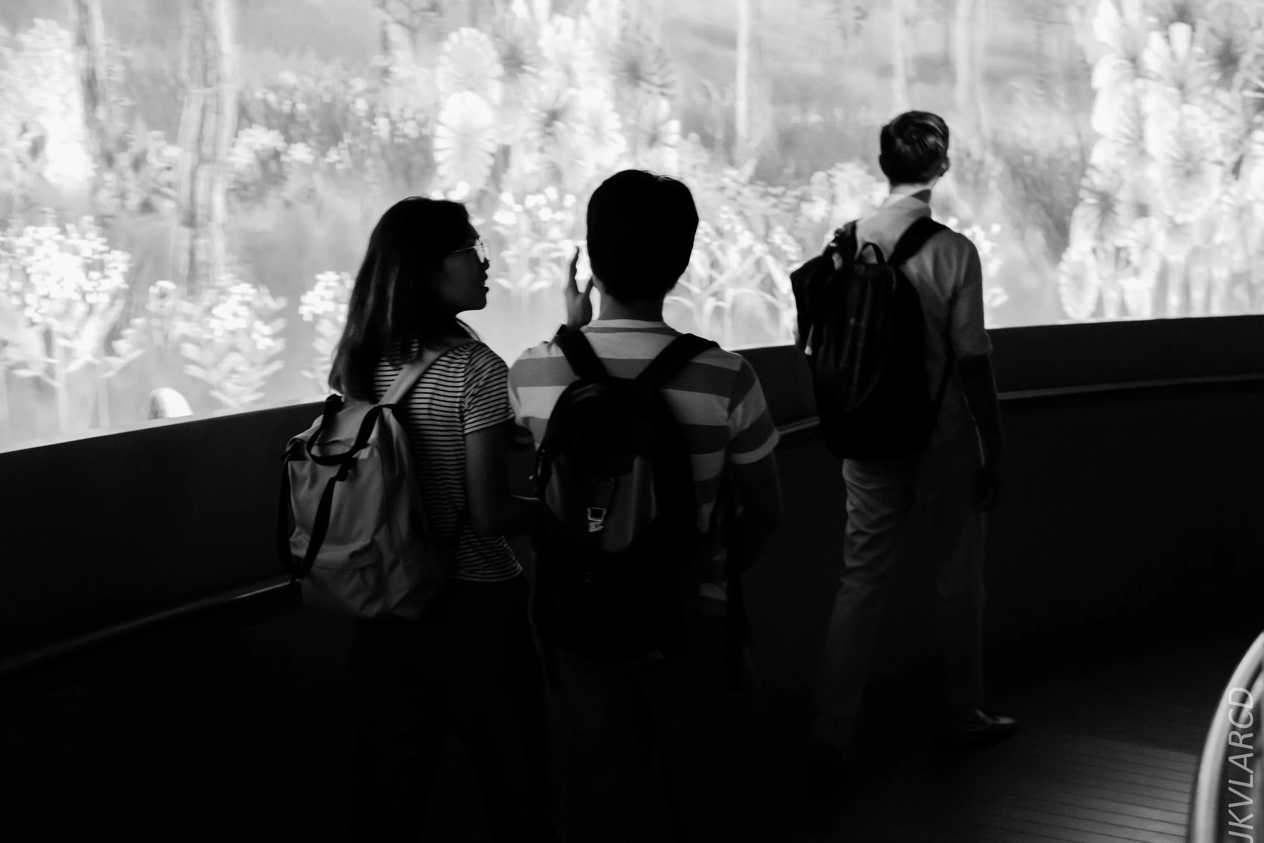 EOS 7D Mark II_2019_08_30_6522.jpg