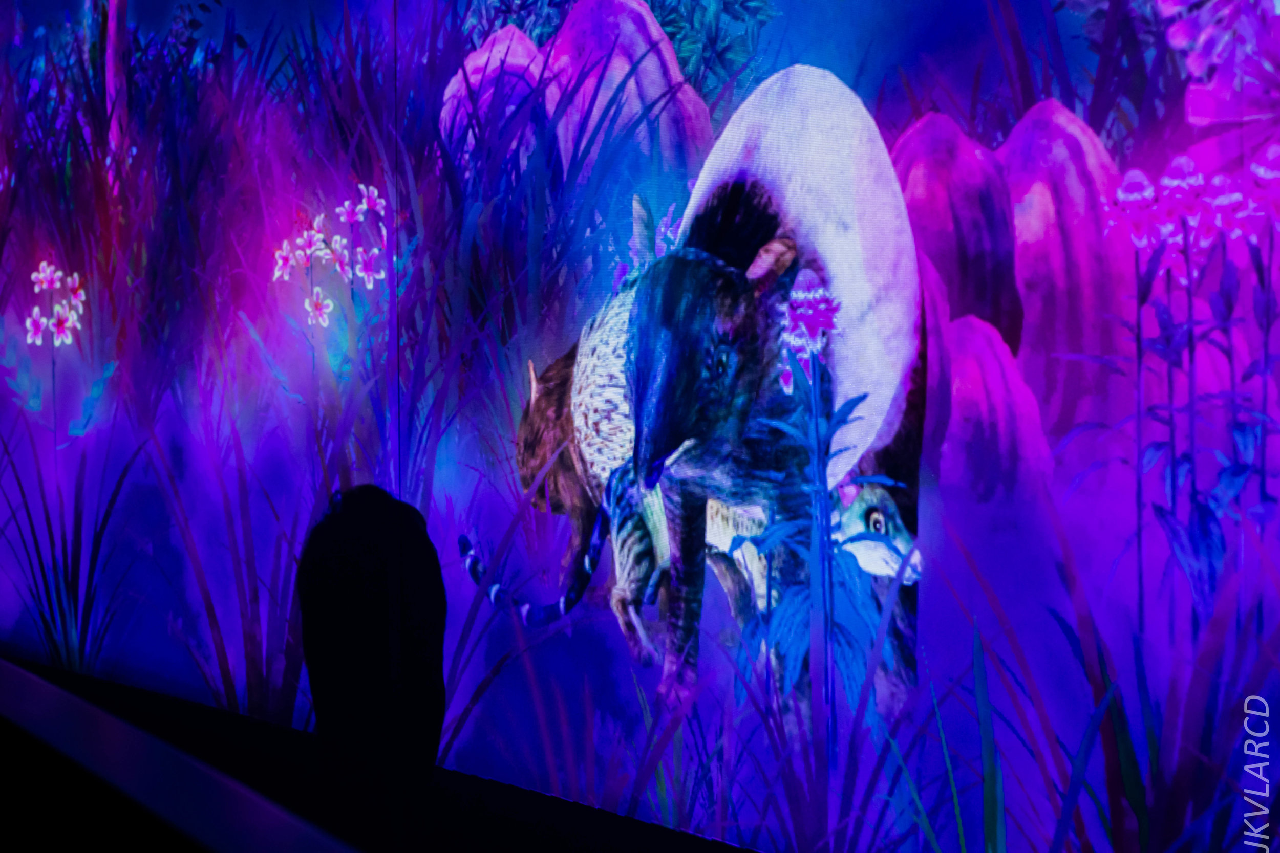 EOS 7D Mark II_2019_08_30_6526.jpg