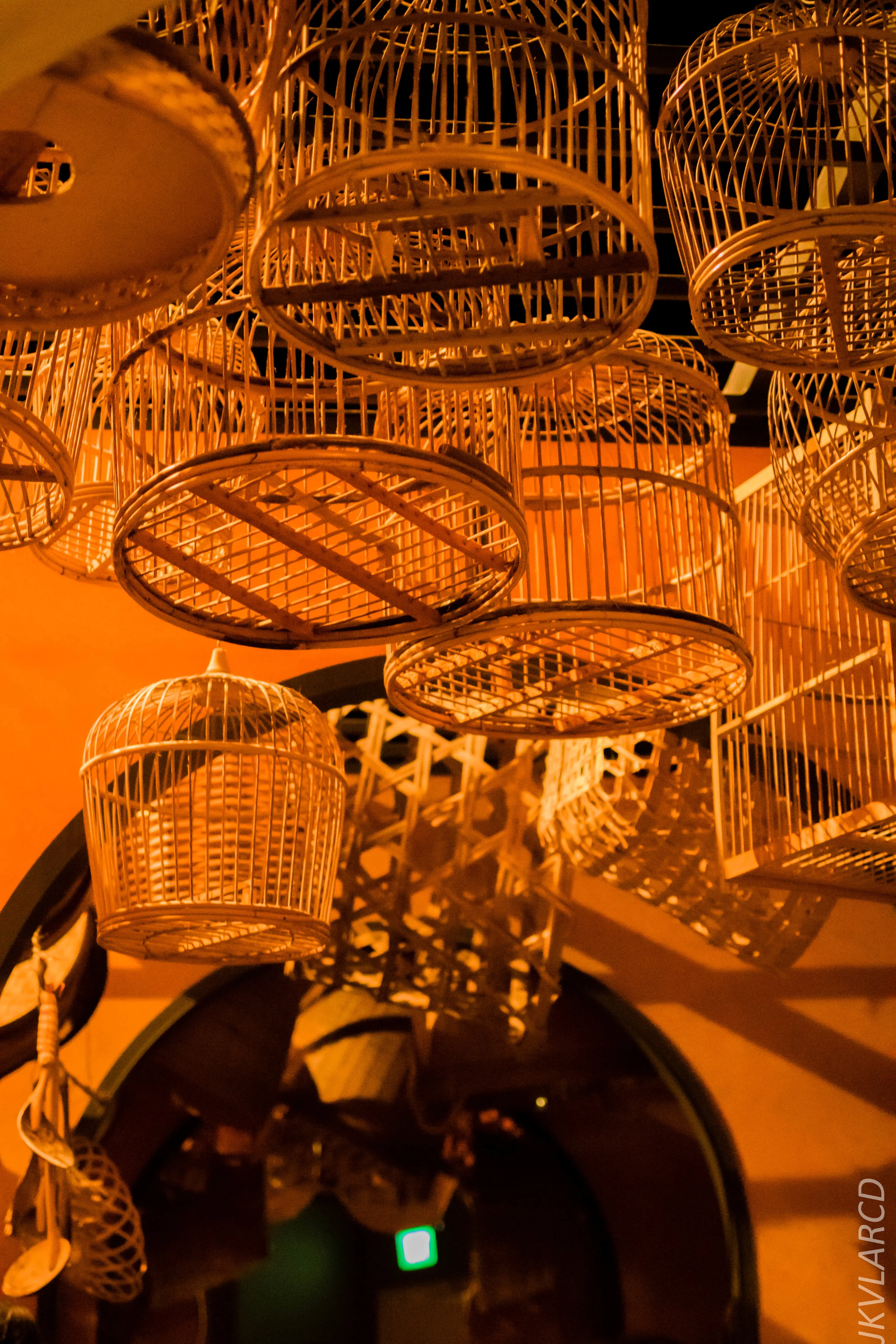 EOS 7D Mark II_2019_08_30_6532.jpg