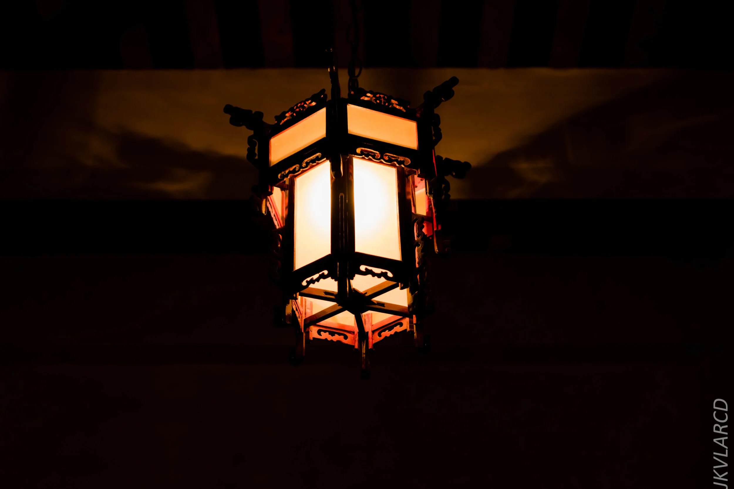 EOS 7D Mark II_2019_08_30_6534.jpg