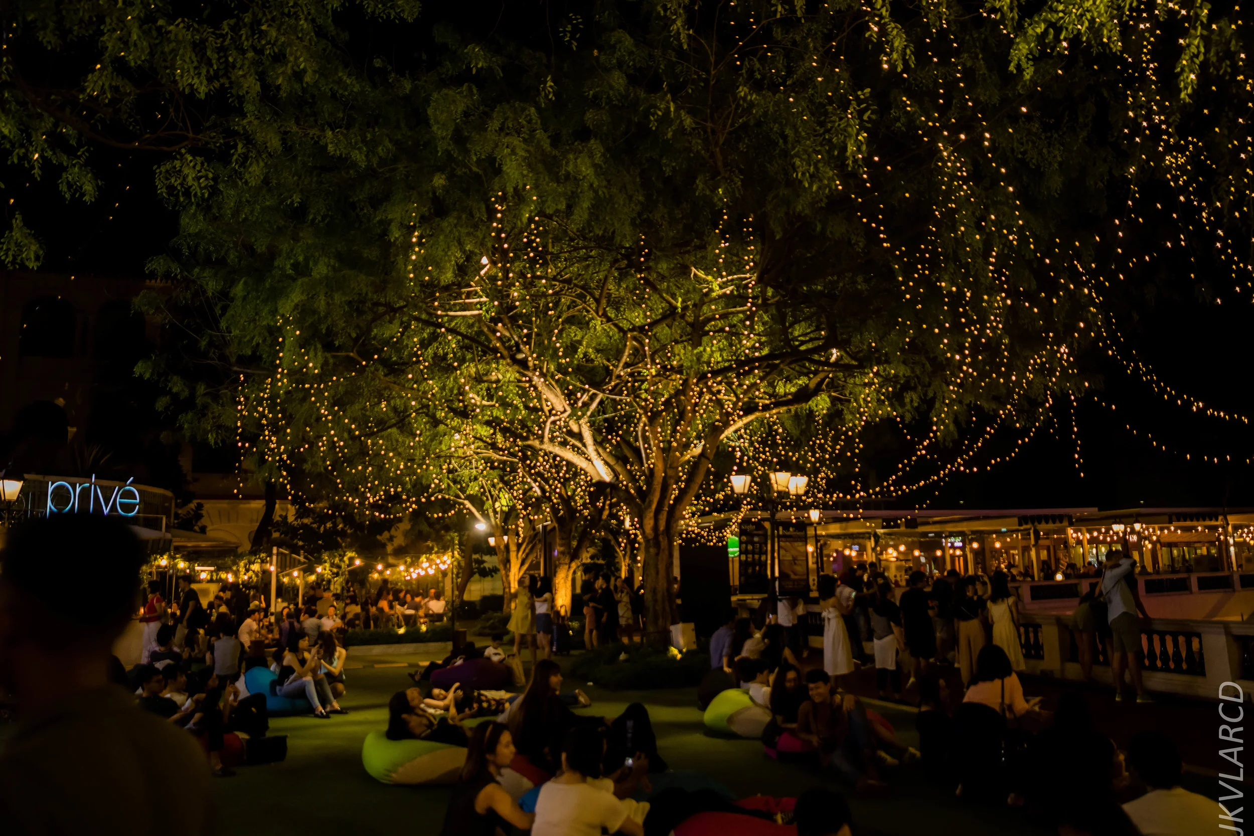 EOS 7D Mark II_2019_08_30_6623.jpg