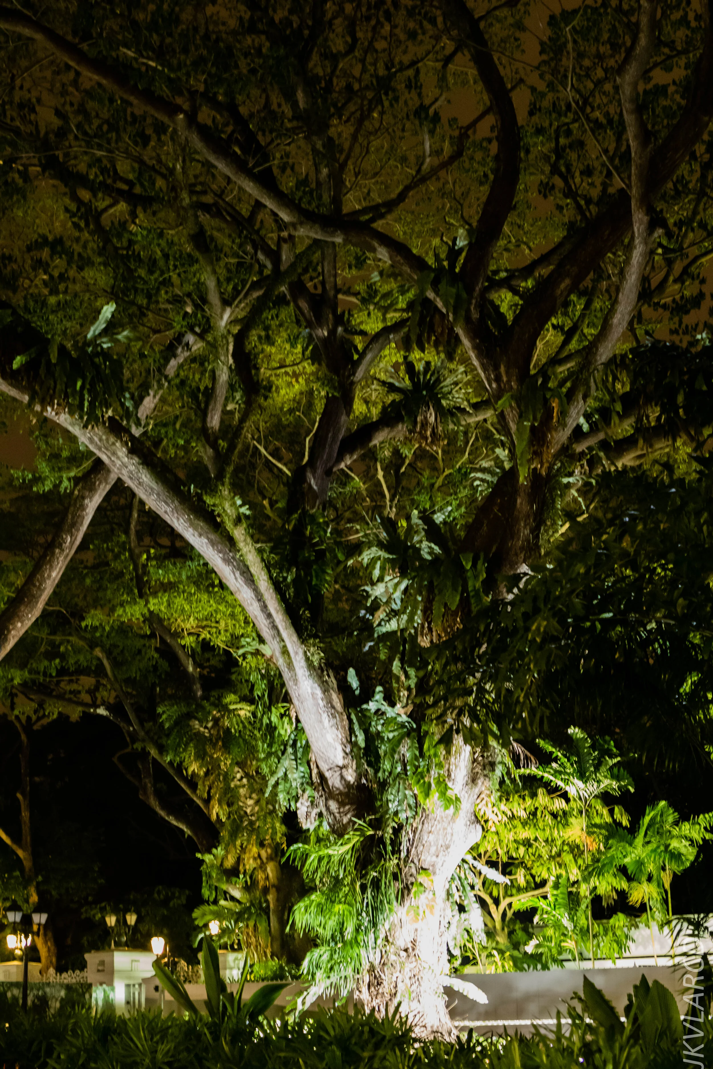 EOS 7D Mark II_2019_10_19_7128.jpg