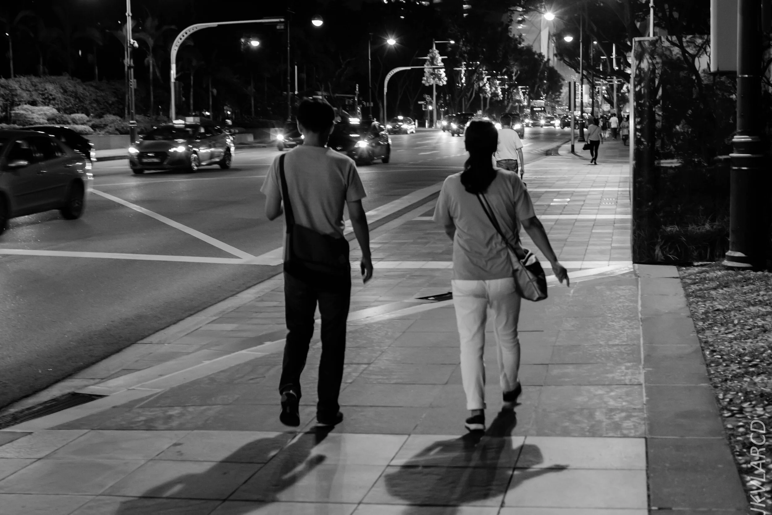 EOS 7D Mark II_2019_10_19_7130.jpg