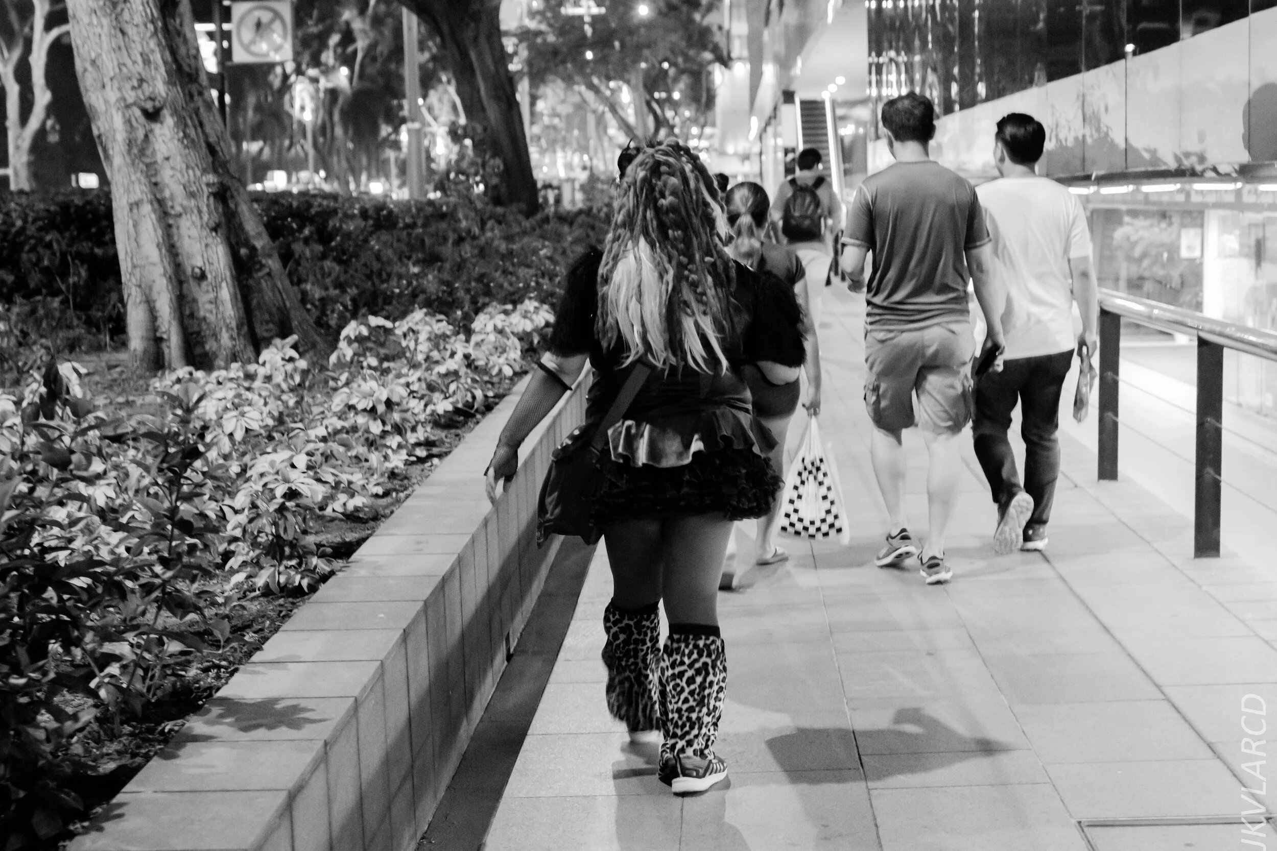 EOS 7D Mark II_2019_10_19_7137.jpg