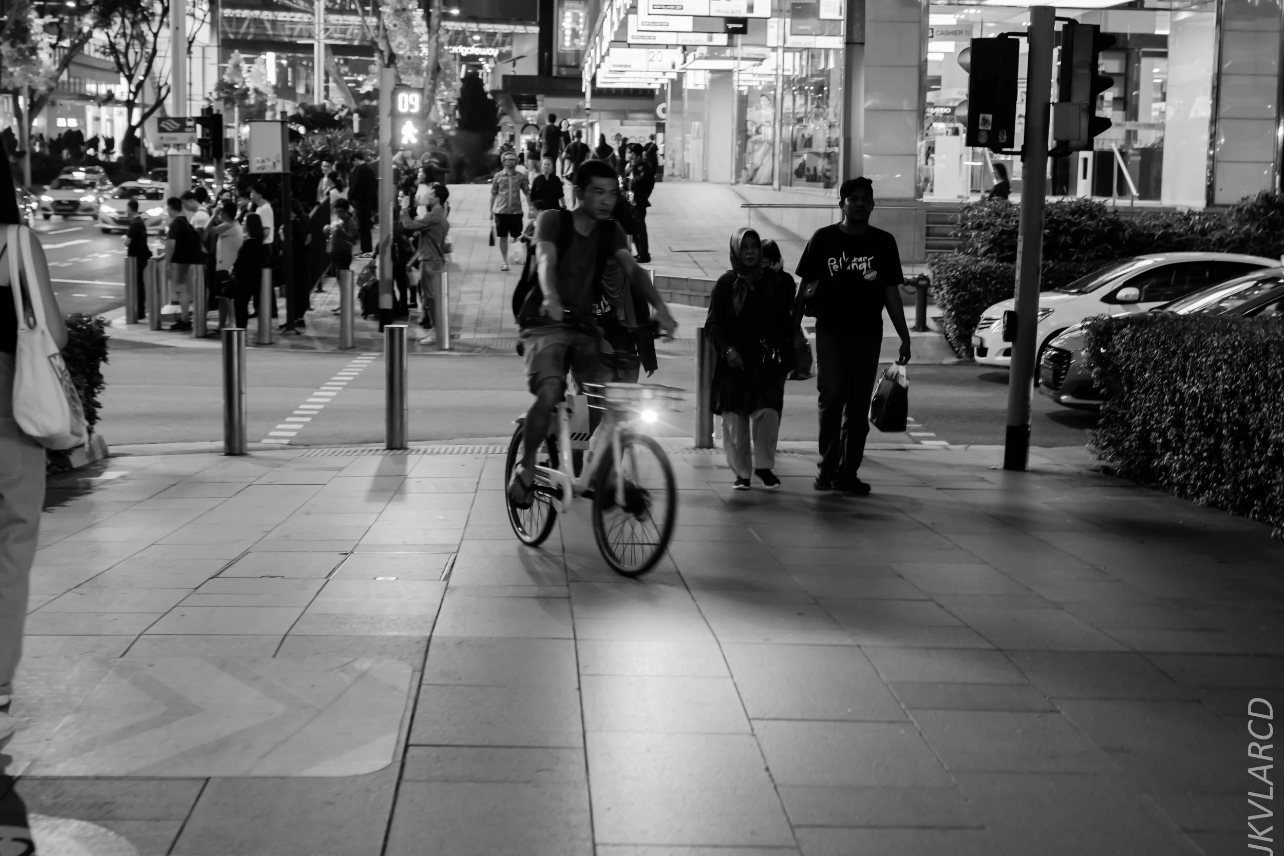 EOS 7D Mark II_2019_10_19_7141.jpg