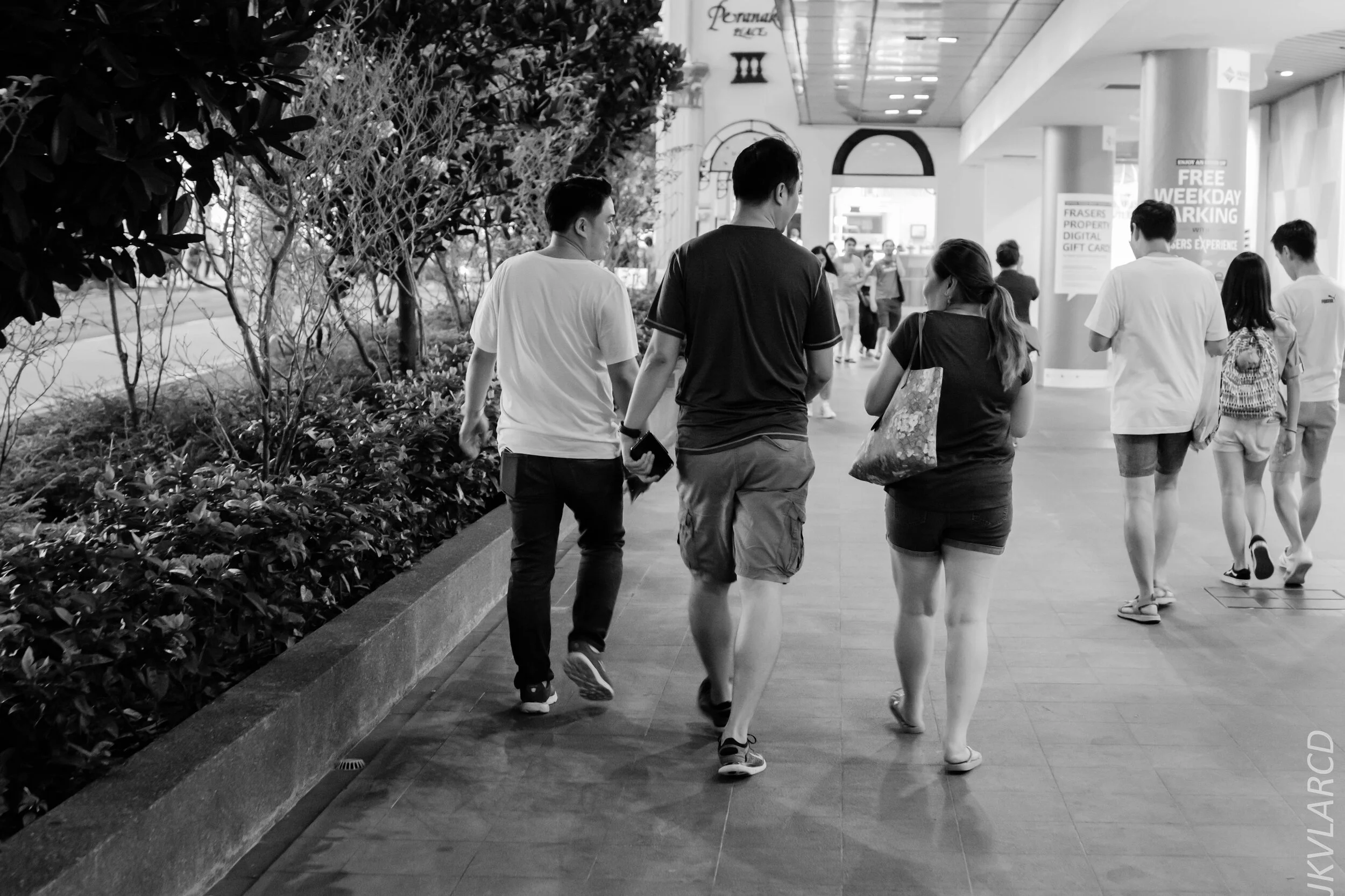 EOS 7D Mark II_2019_10_19_7143.jpg