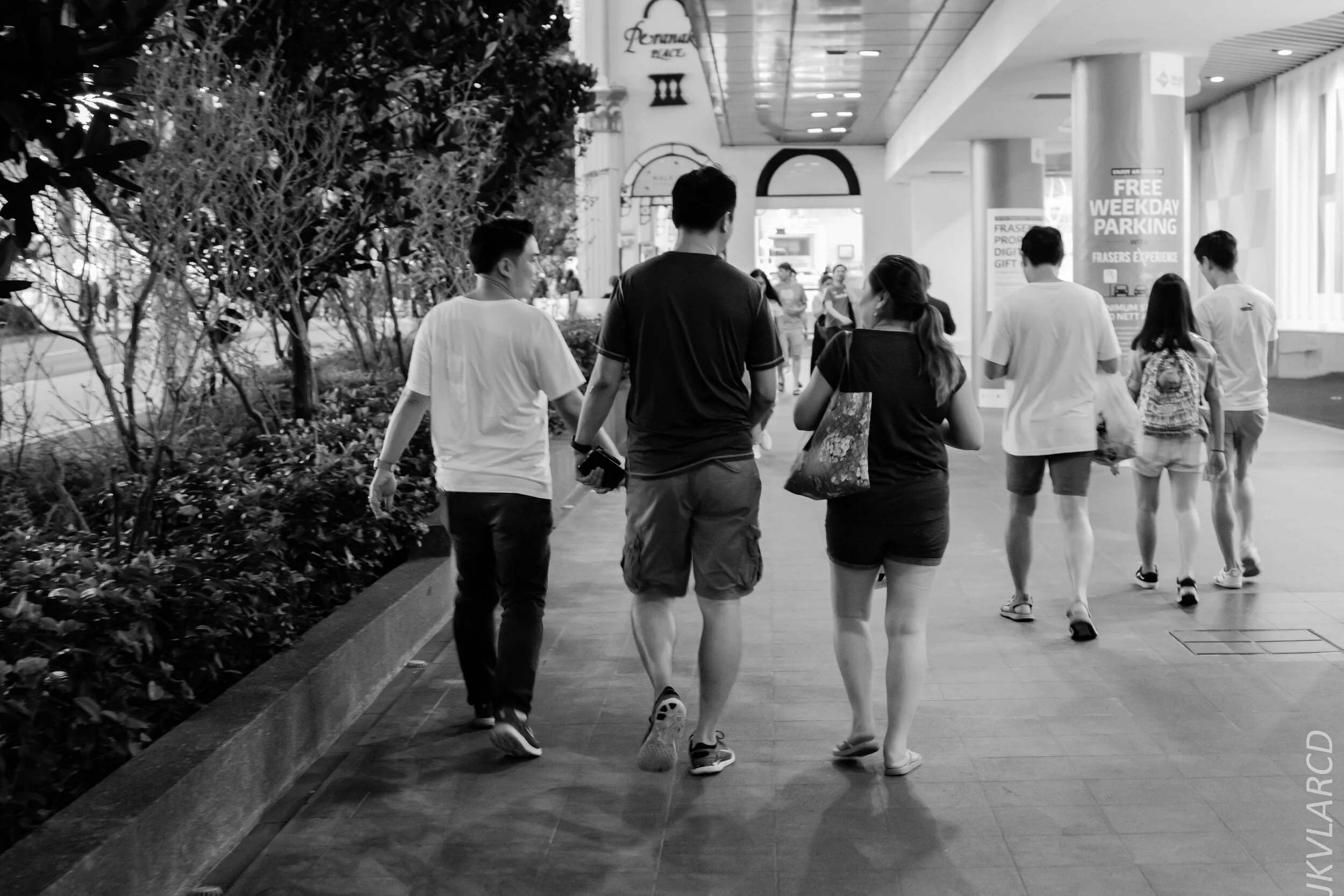 EOS 7D Mark II_2019_10_19_7144.jpg