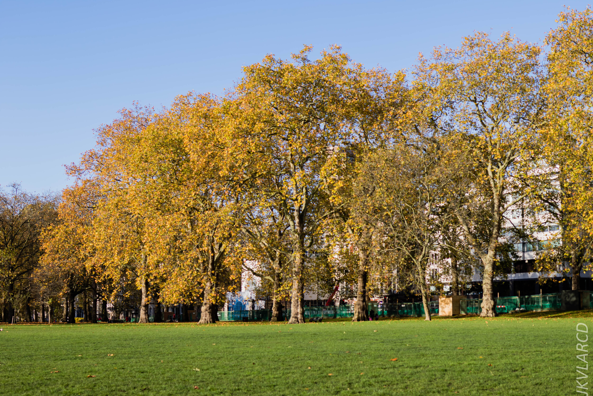 EOS 7D Mark II_2019_11_03_7322.jpg