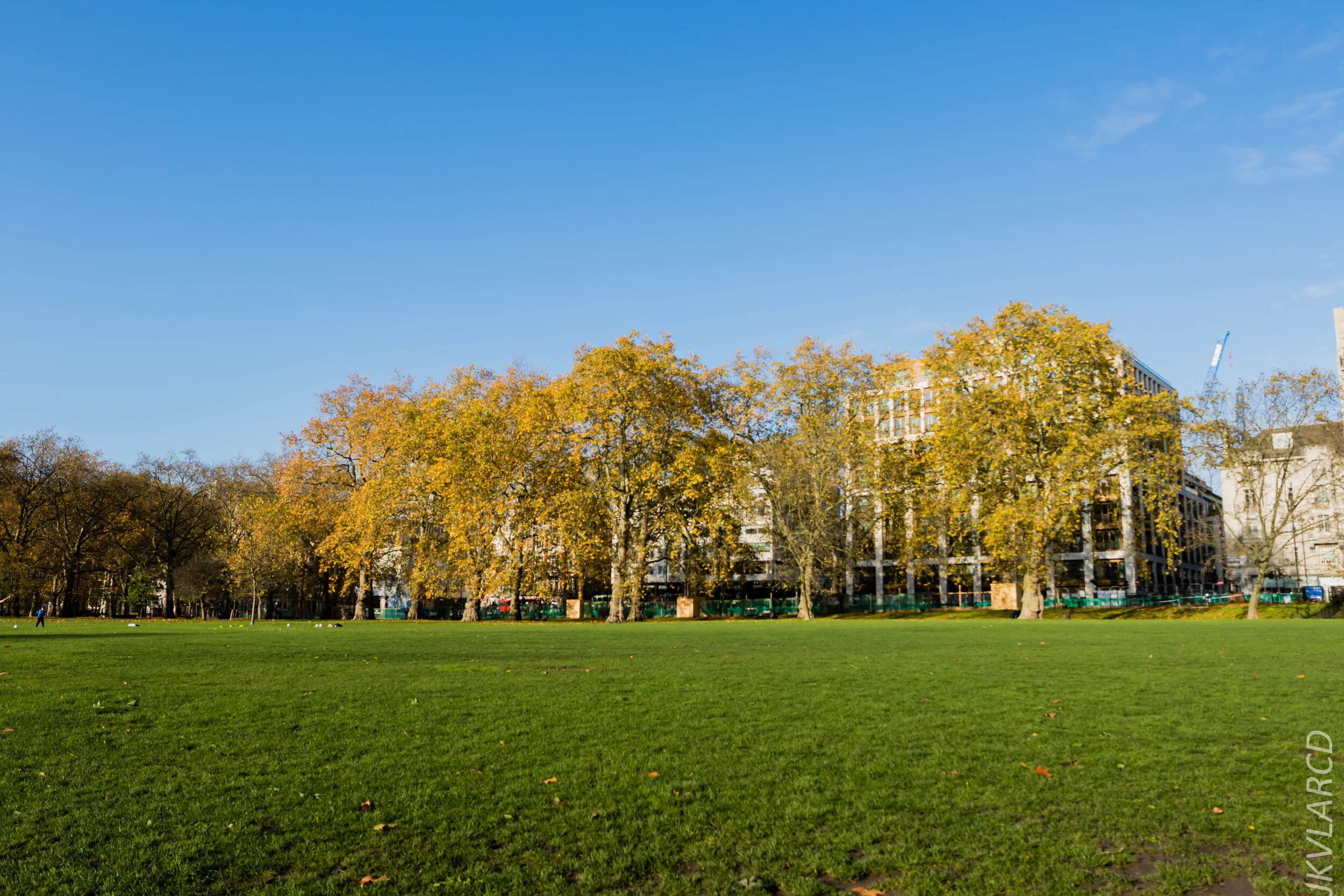 EOS 7D Mark II_2019_11_03_7326.jpg