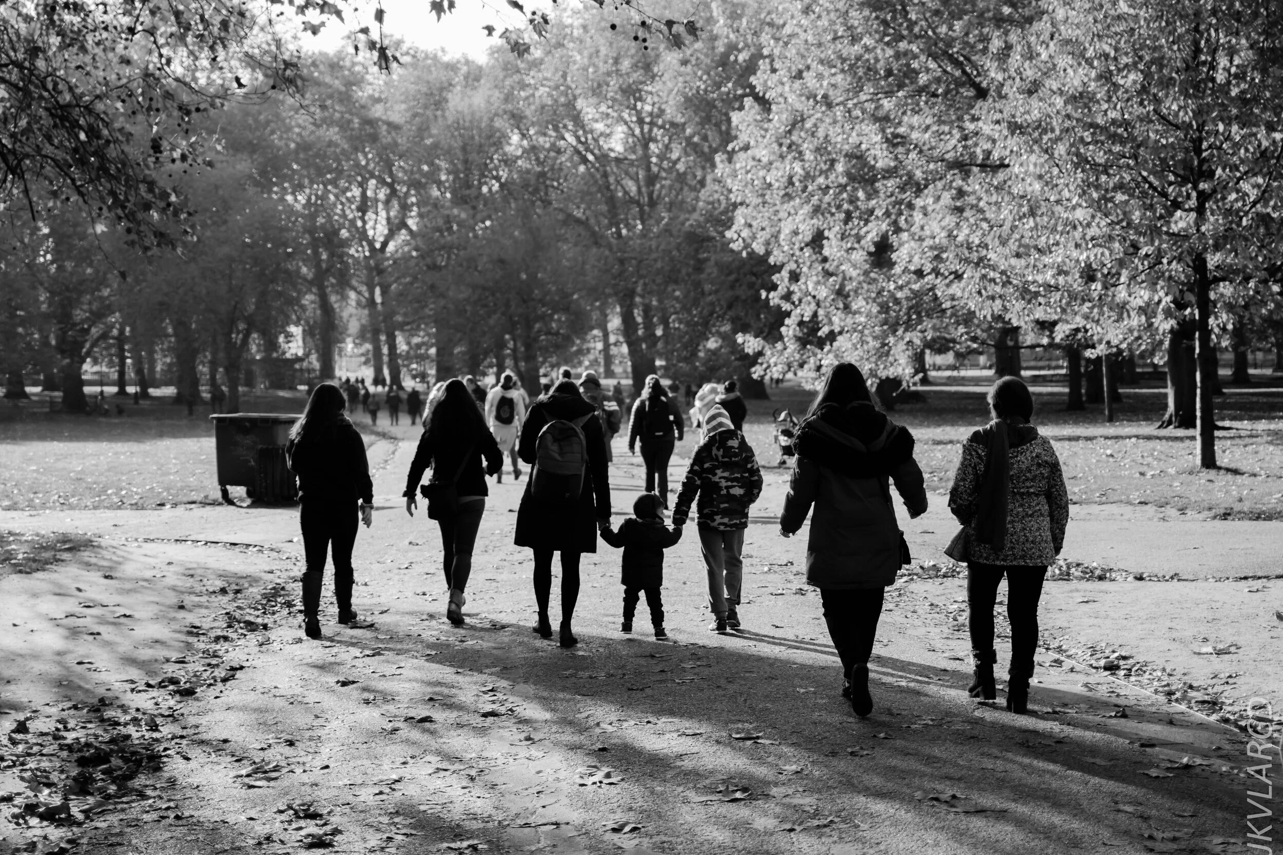 EOS 7D Mark II_2019_11_03_7329.jpg