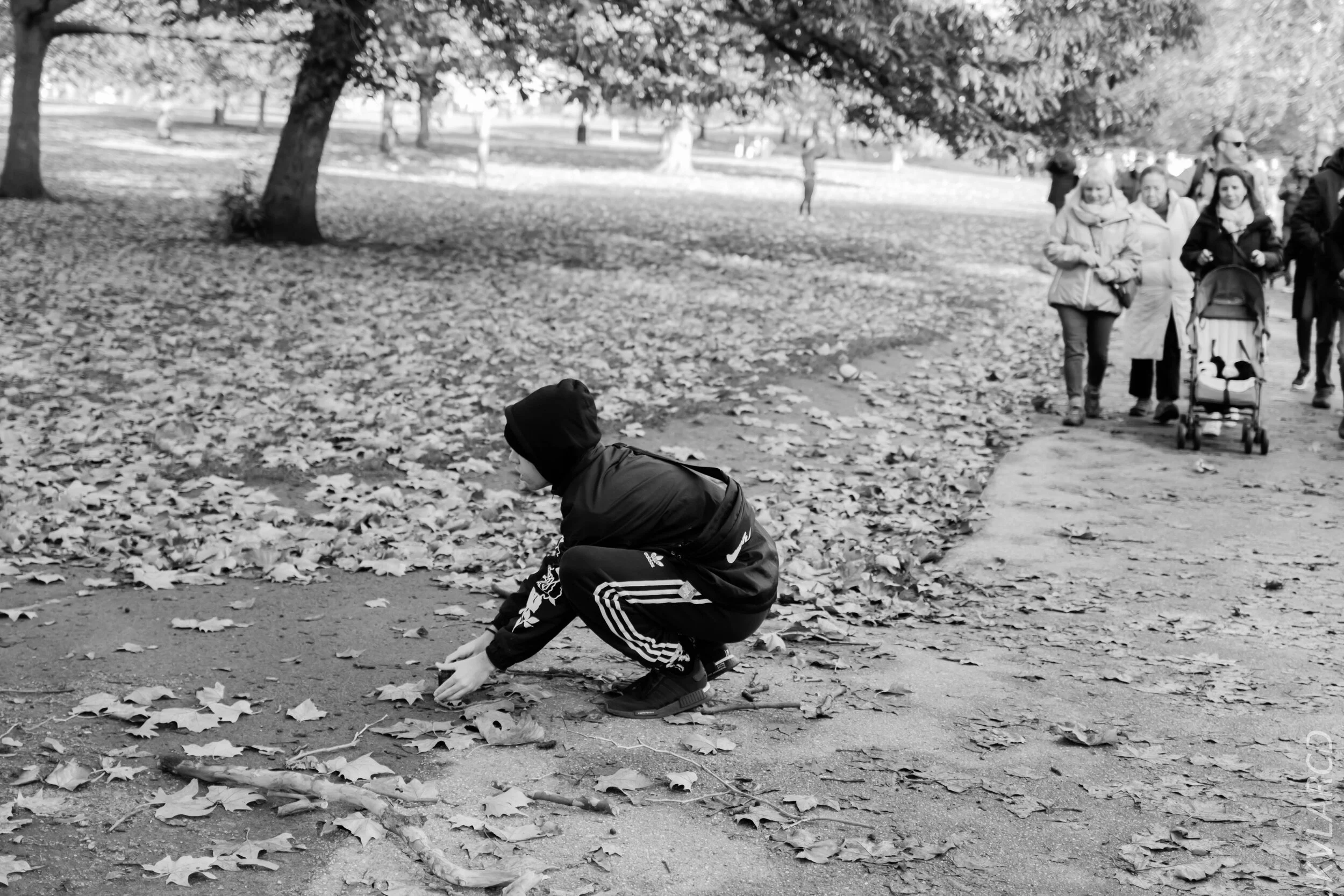 EOS 7D Mark II_2019_11_03_7334.jpg