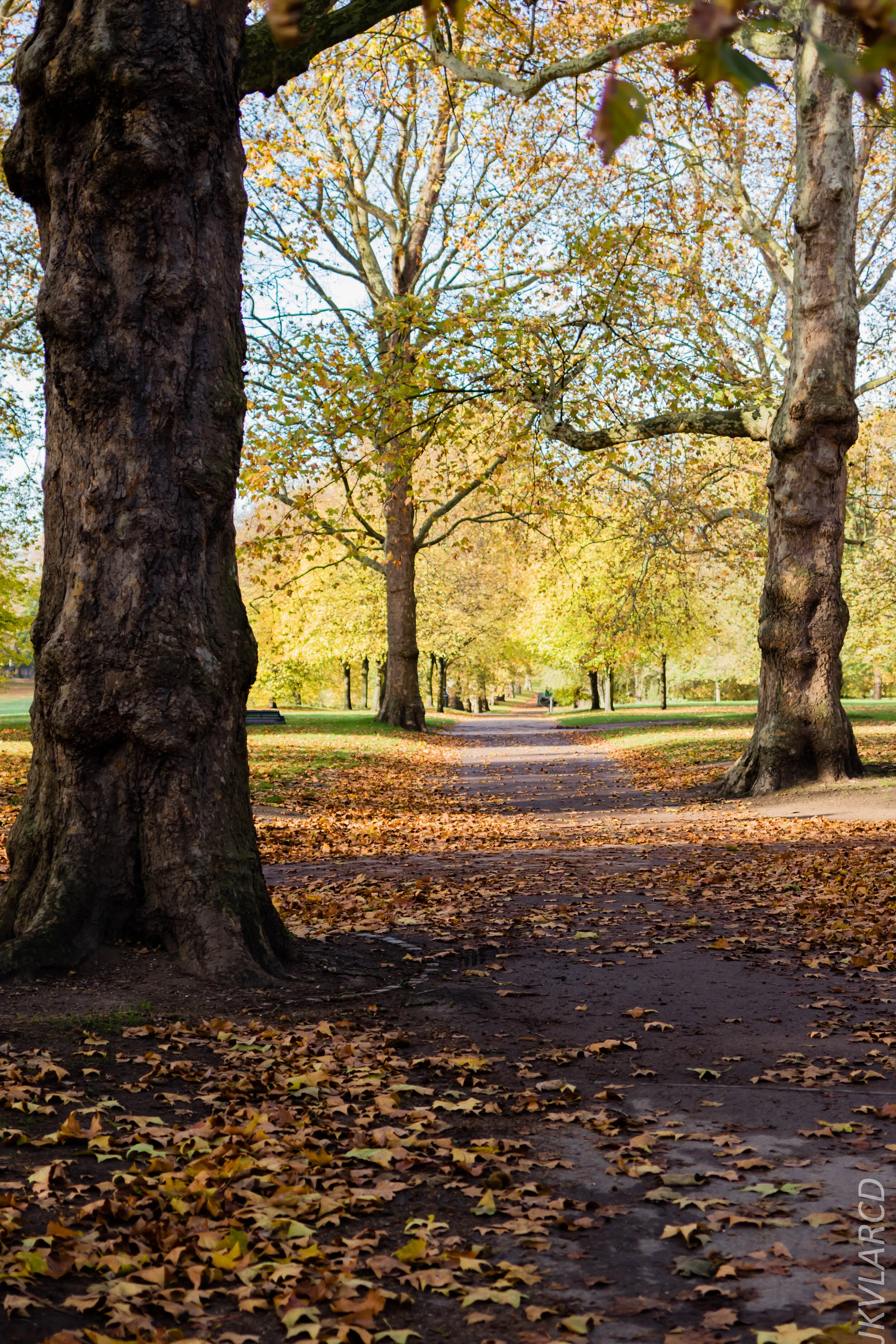 EOS 7D Mark II_2019_11_03_7333.jpg