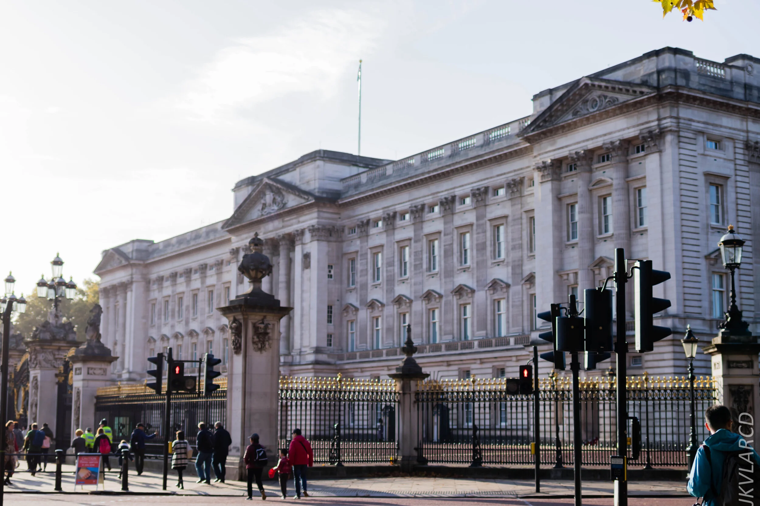 EOS 7D Mark II_2019_11_03_7339.jpg