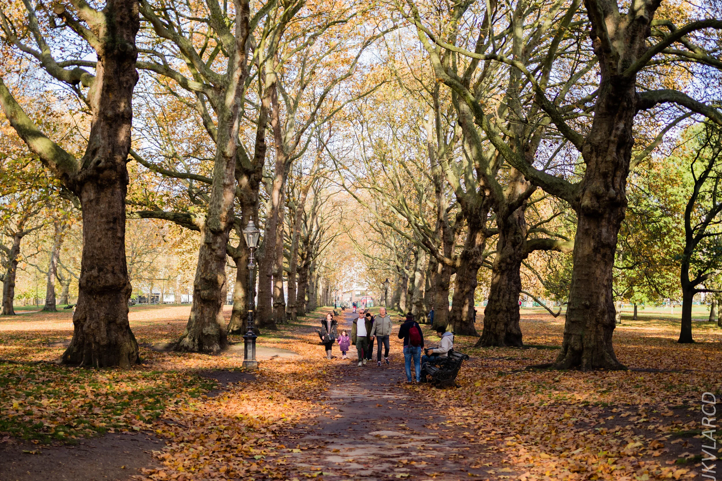 EOS 7D Mark II_2019_11_03_7338.jpg