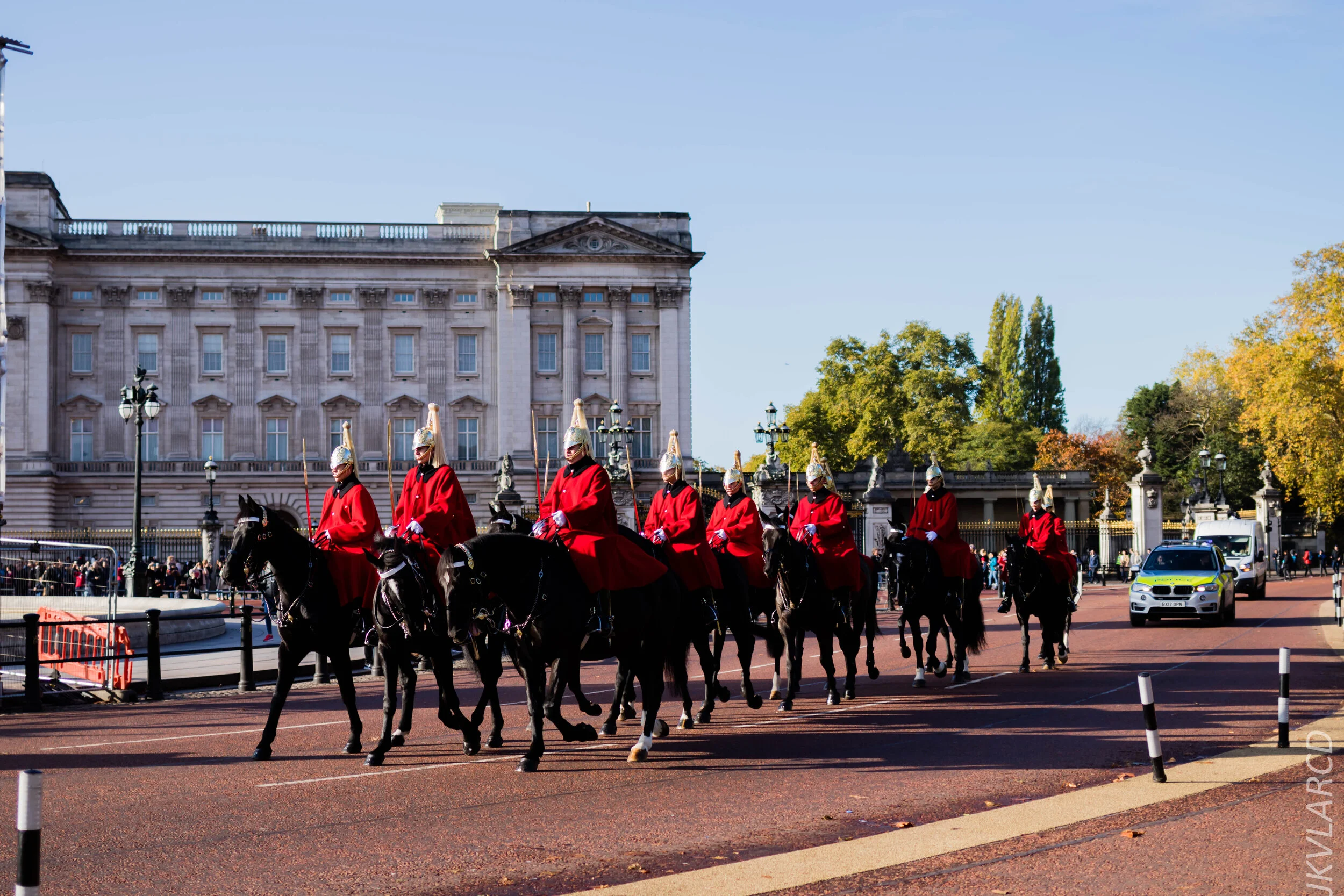 EOS 7D Mark II_2019_11_03_7353.jpg