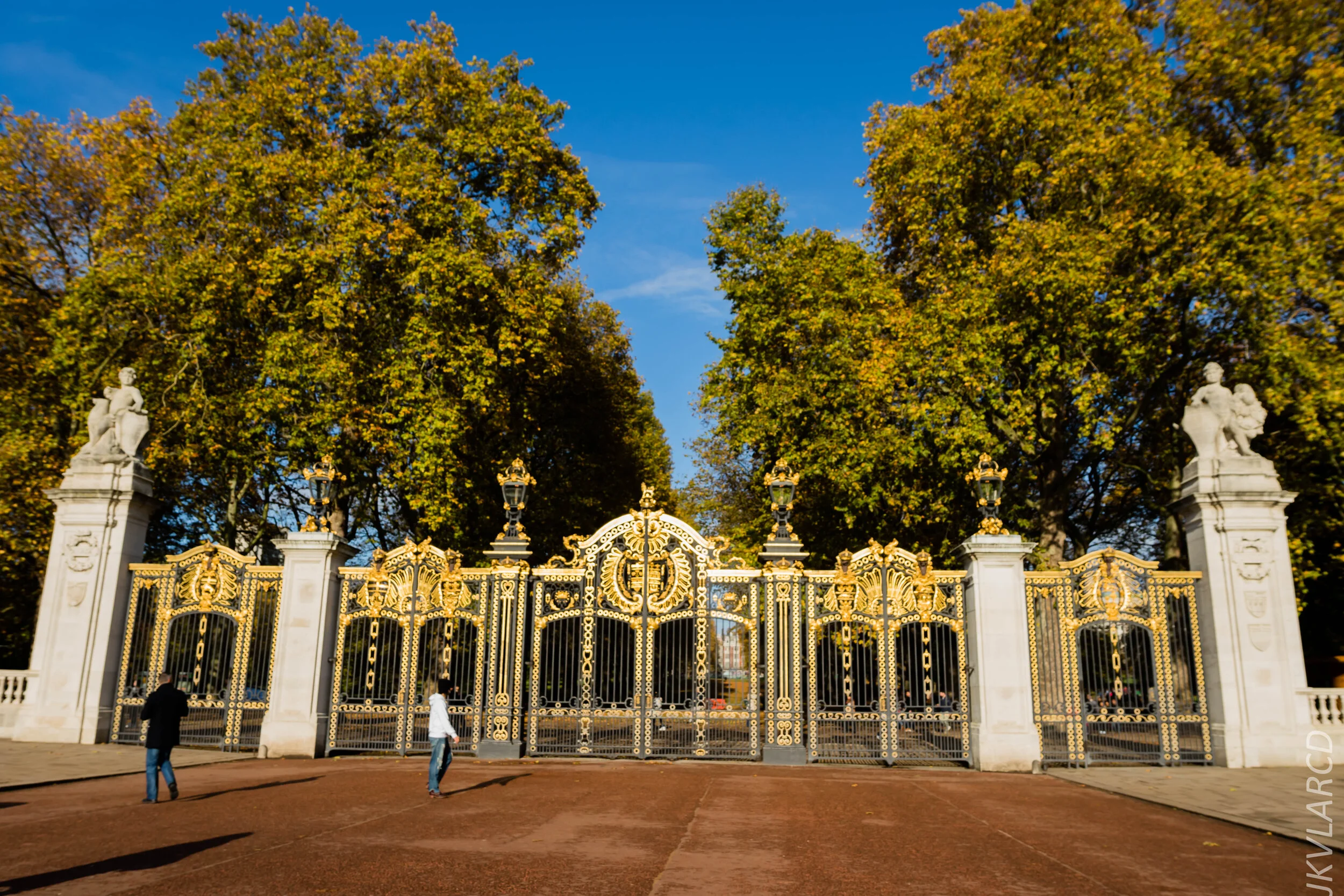 EOS 7D Mark II_2019_11_03_7358.jpg