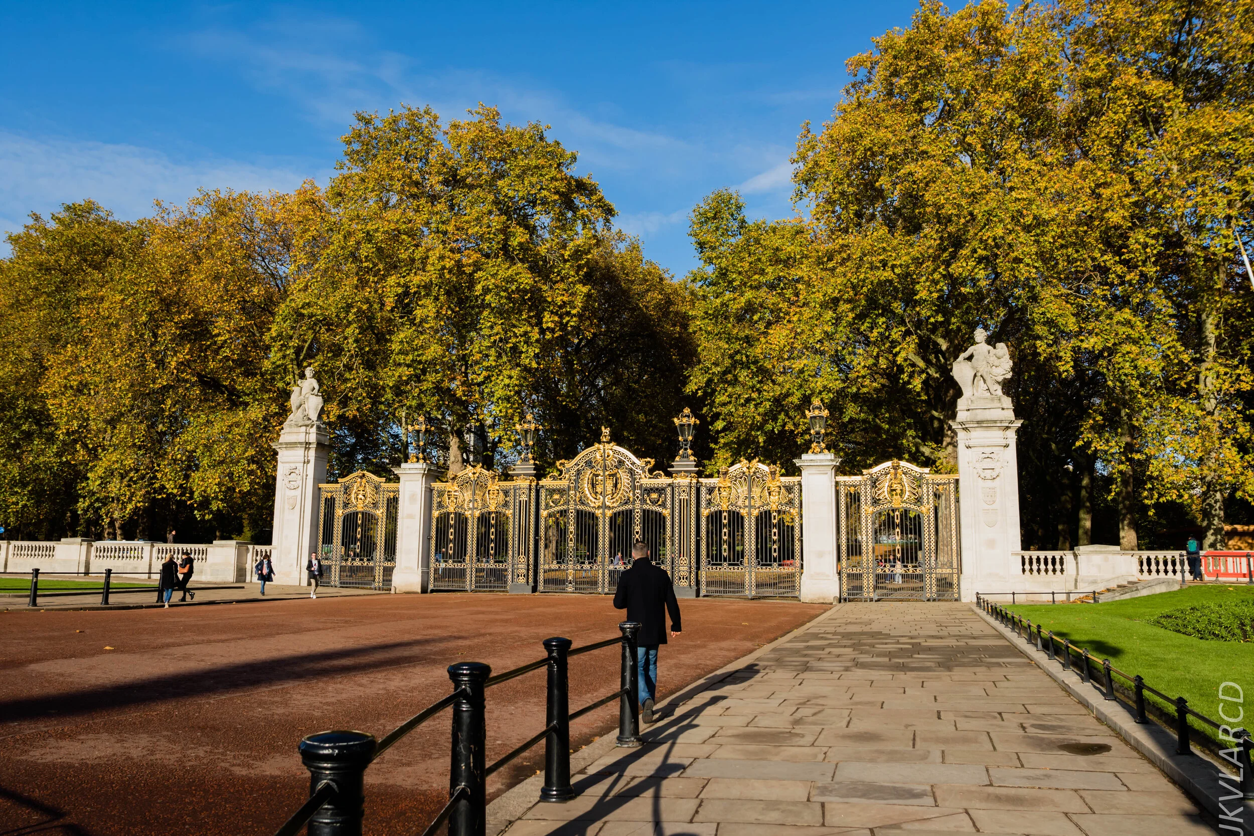 EOS 7D Mark II_2019_11_03_7356.jpg