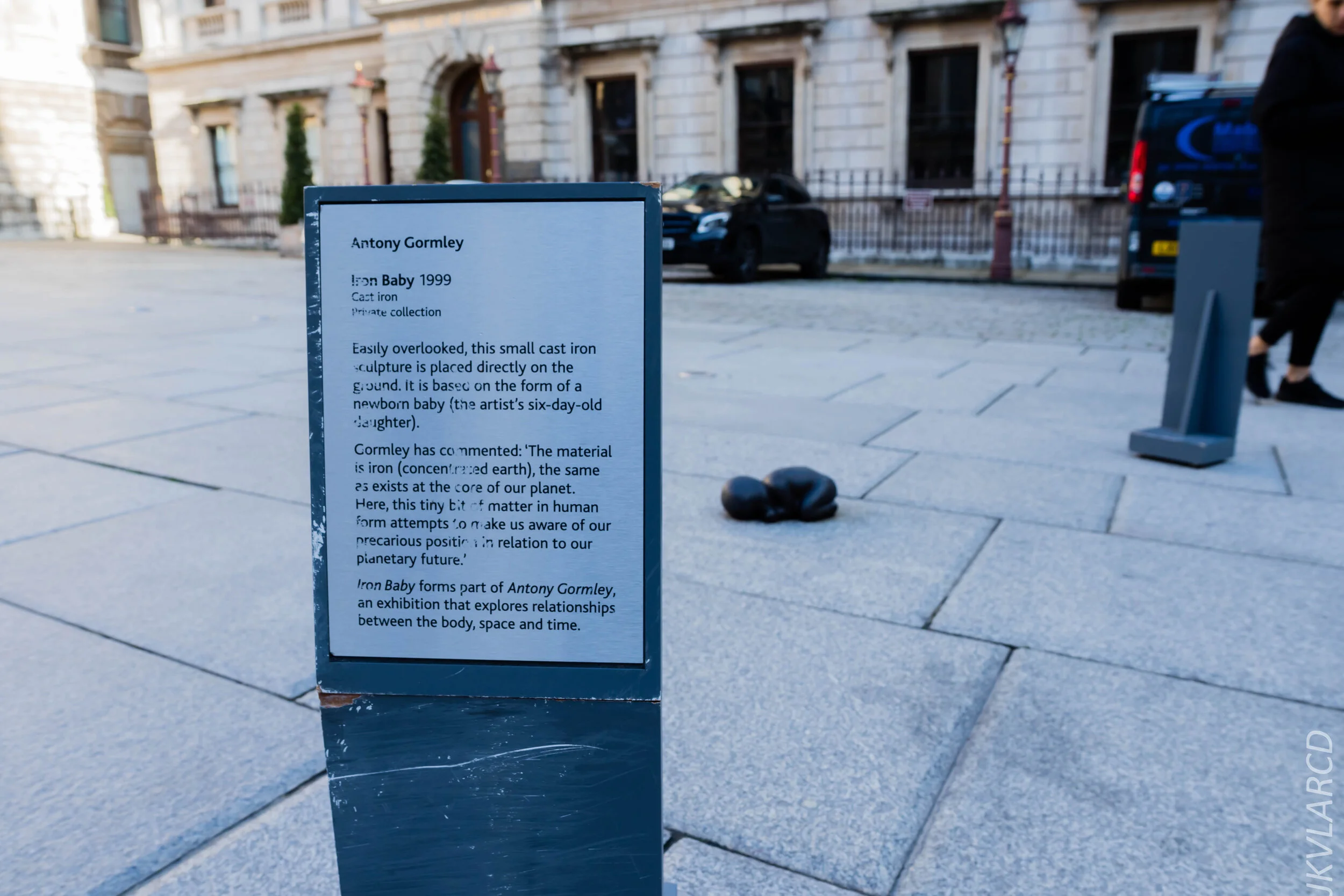 EOS 7D Mark II_2019_11_03_7368.jpg