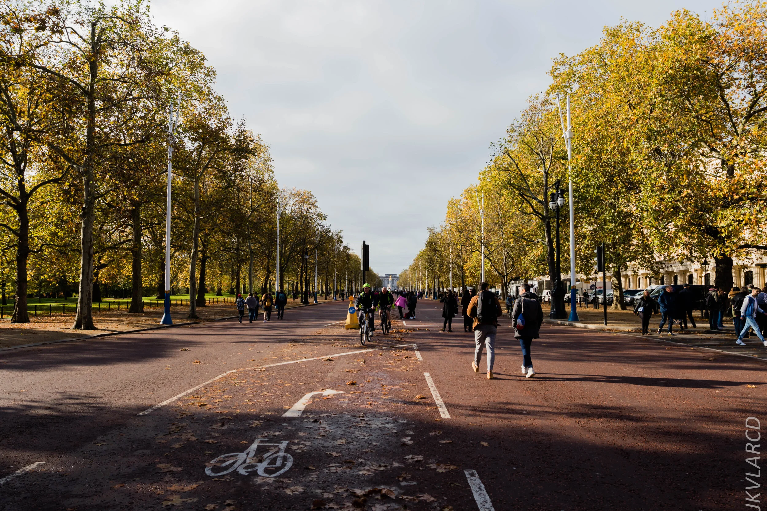 EOS 7D Mark II_2019_11_03_7377.jpg