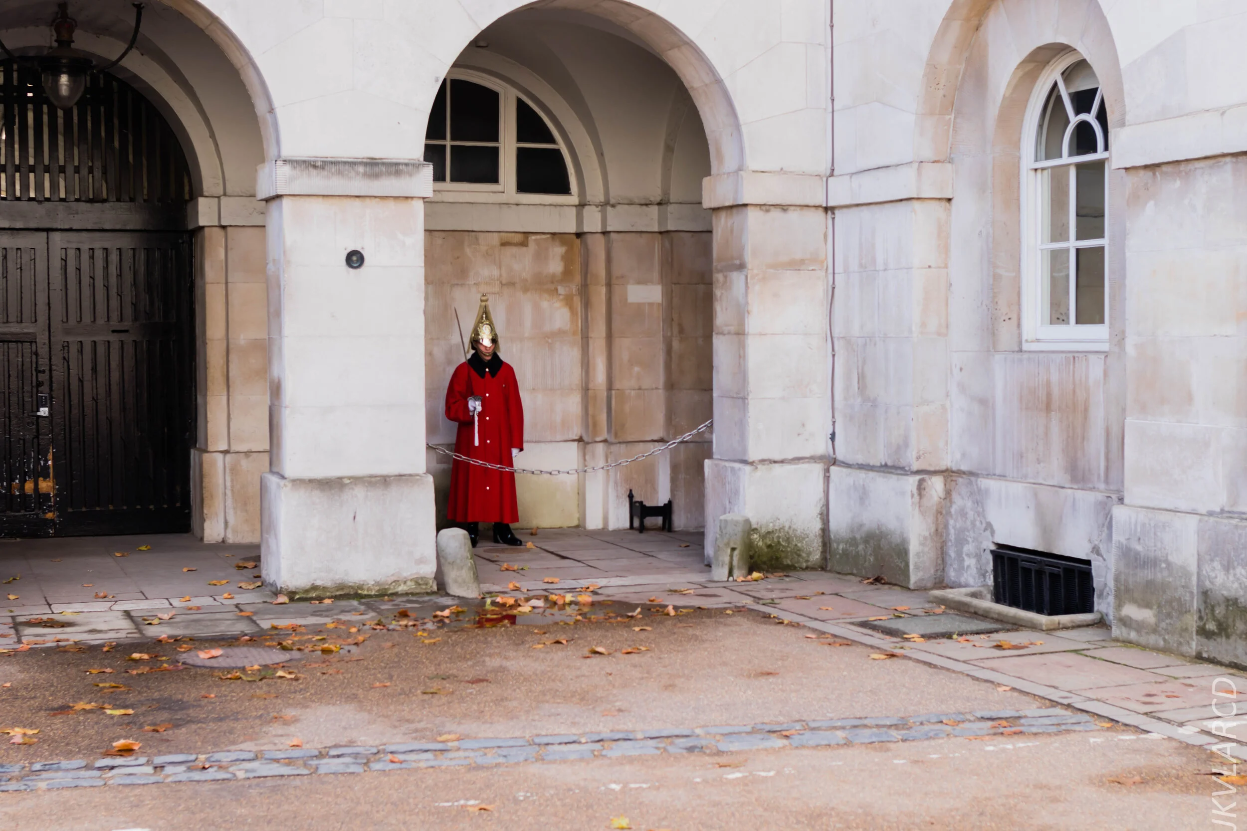 EOS 7D Mark II_2019_11_03_7384.jpg