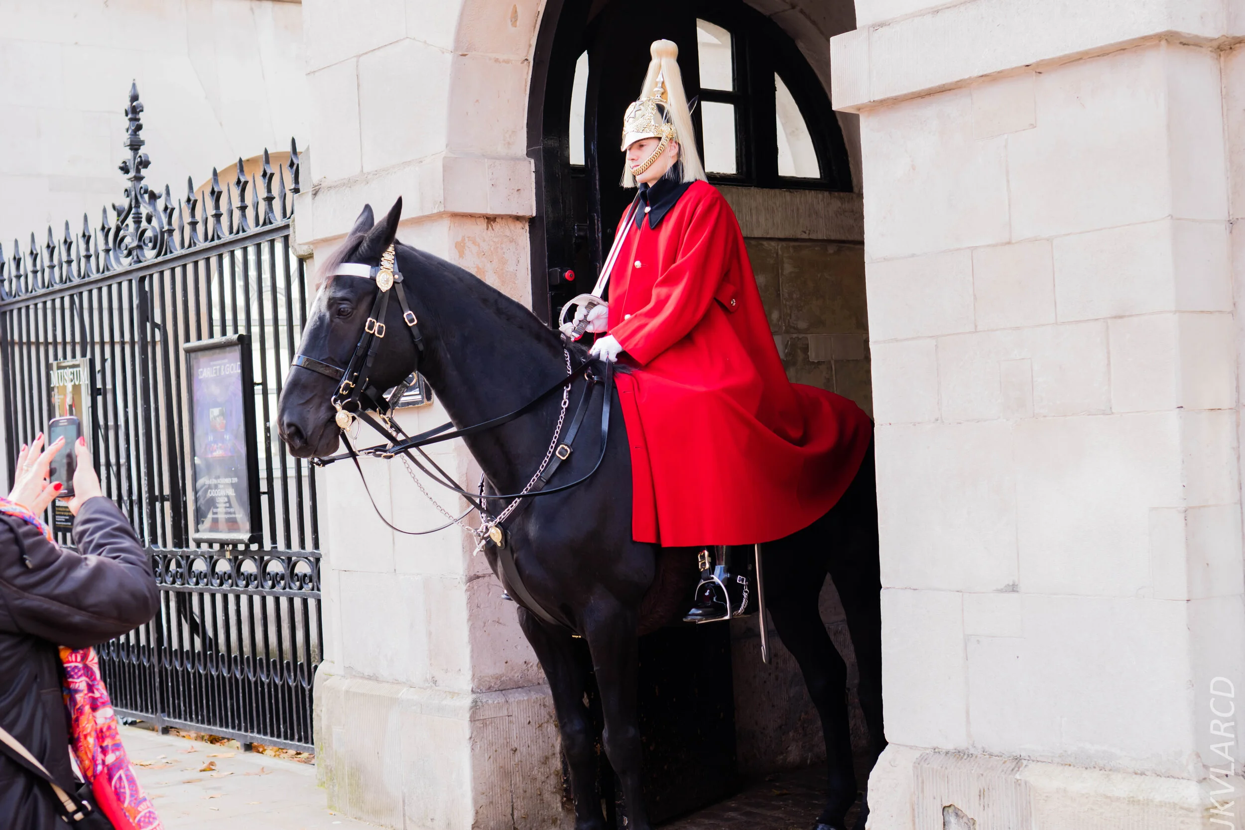 EOS 7D Mark II_2019_11_03_7385.jpg