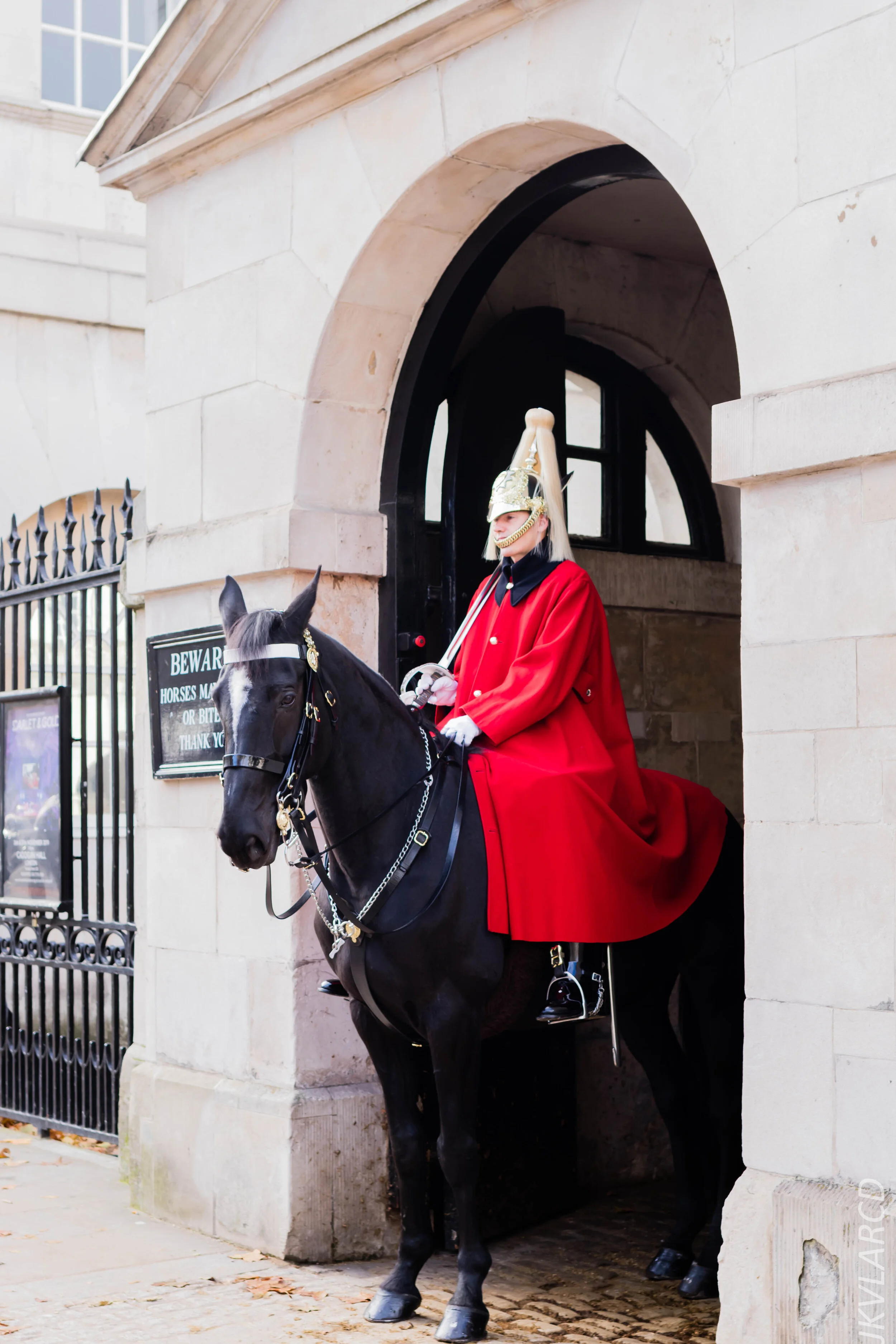 EOS 7D Mark II_2019_11_03_7391.jpg