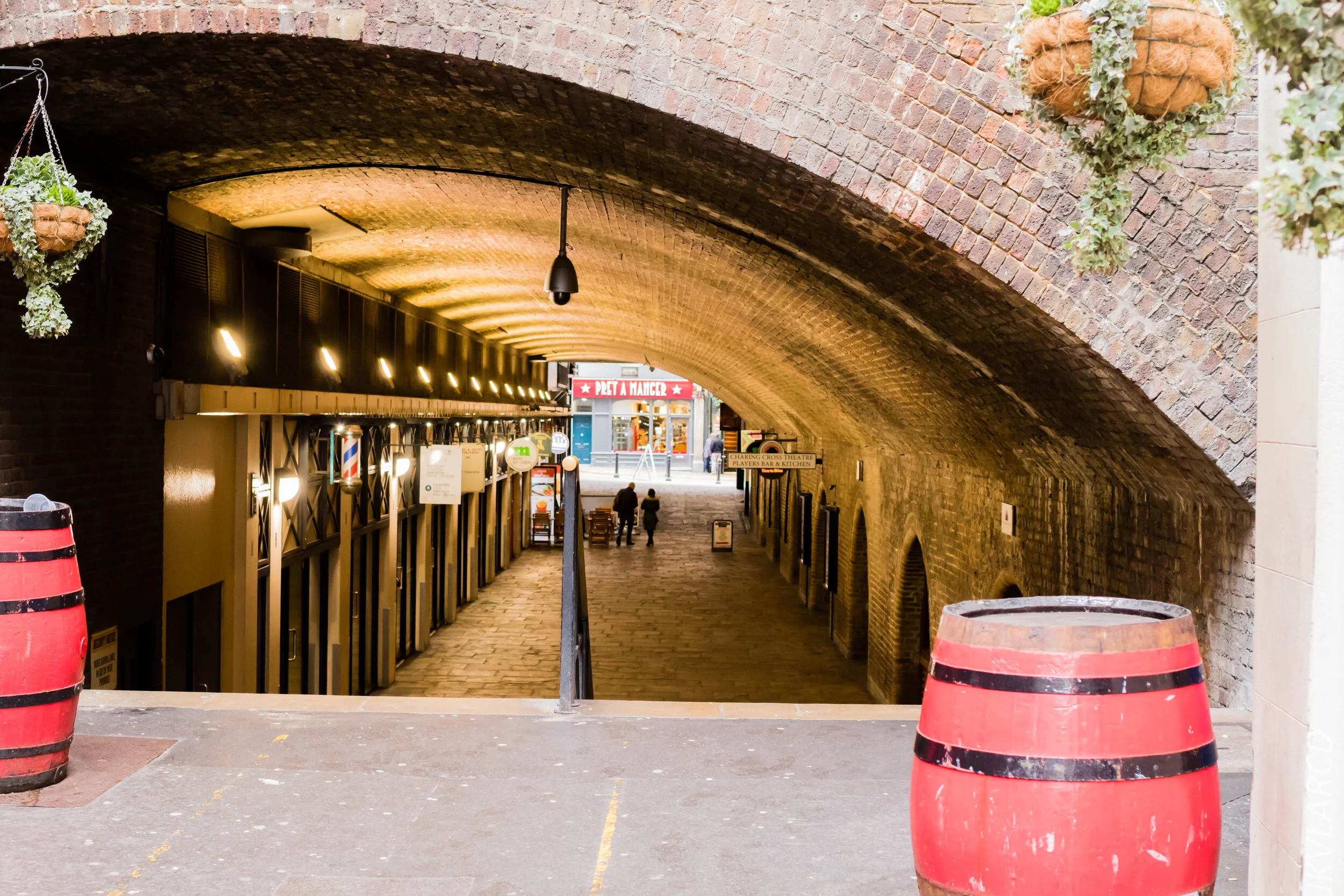 EOS 7D Mark II_2019_11_03_7403.jpg