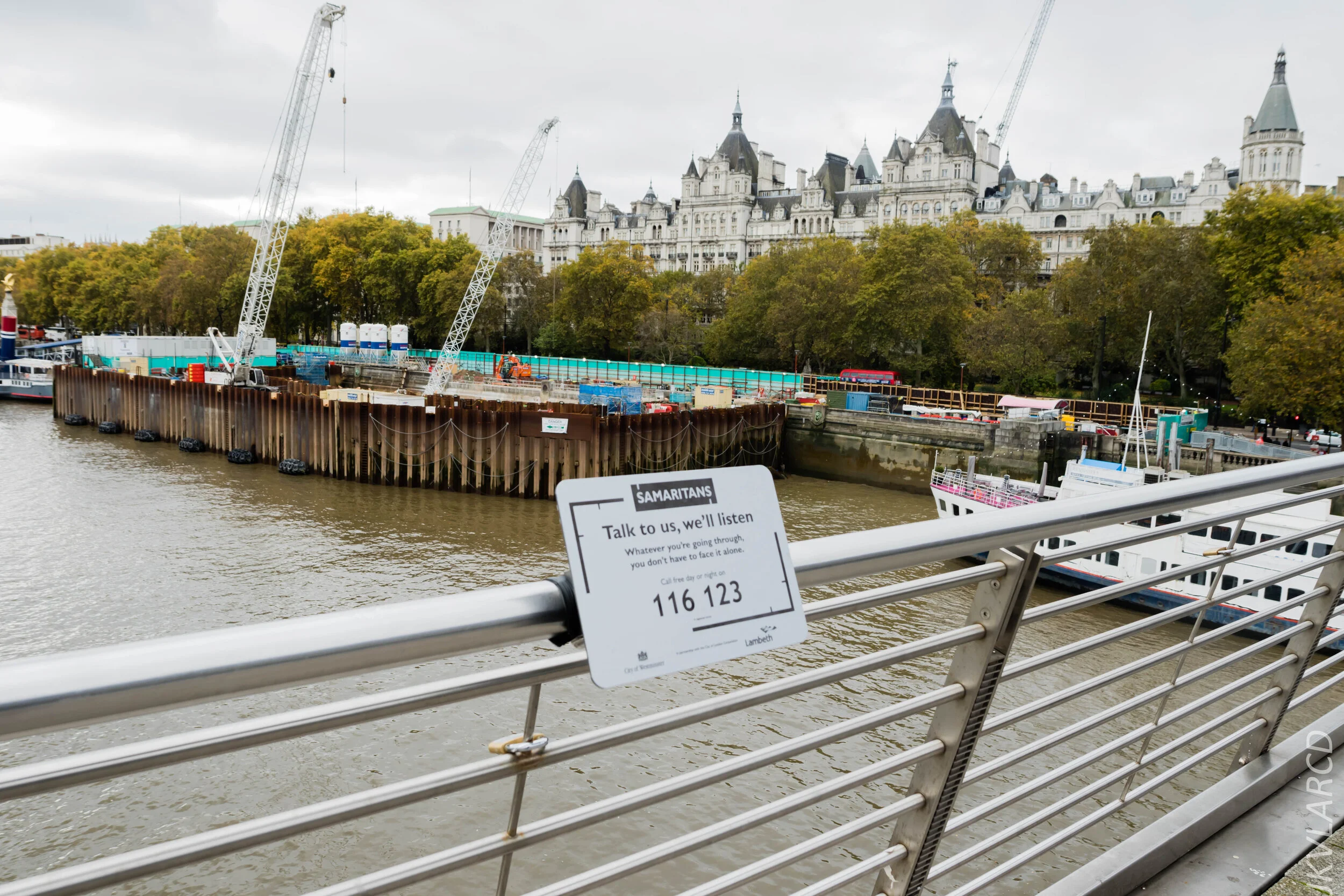 EOS 7D Mark II_2019_11_03_7410.jpg