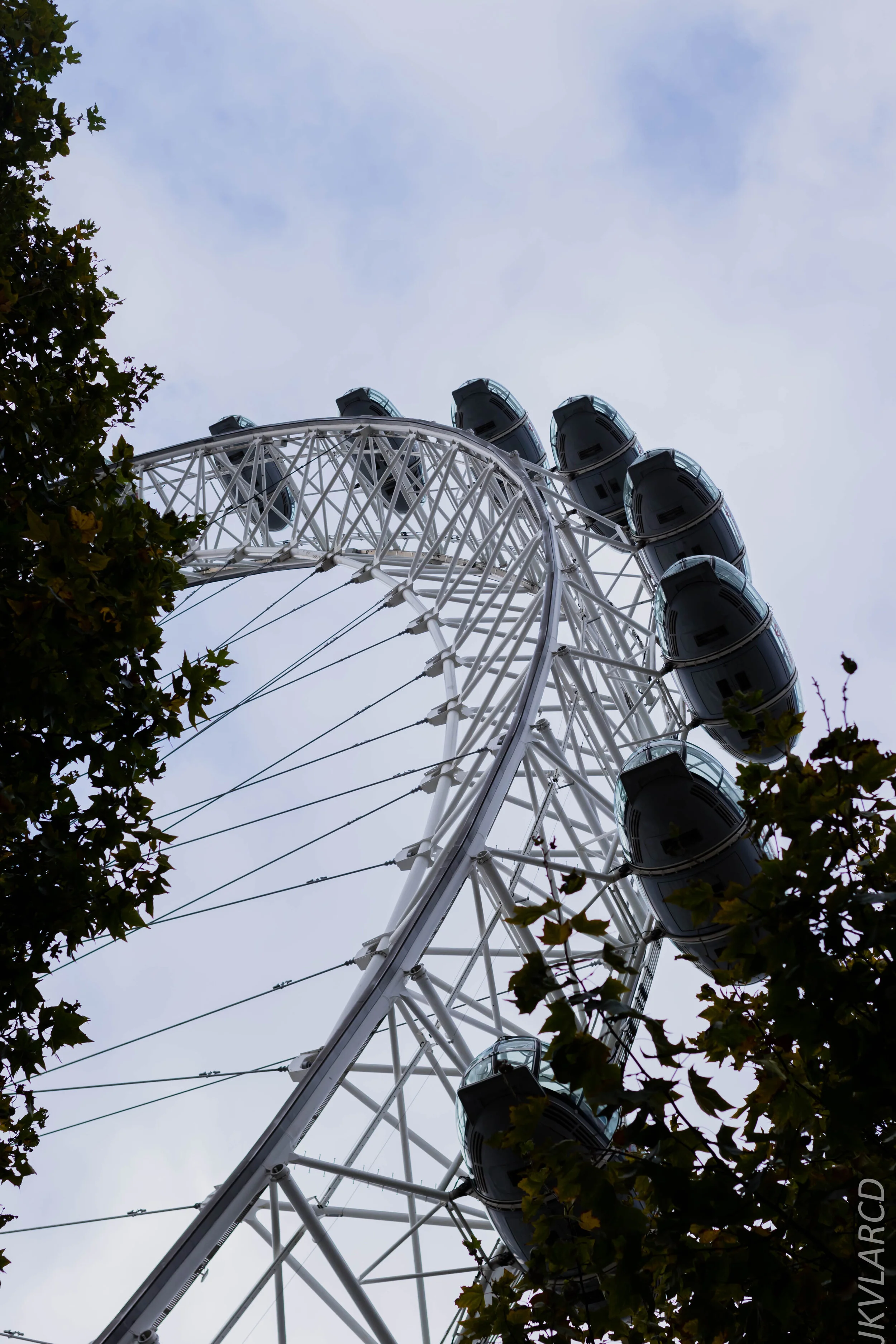 EOS 7D Mark II_2019_11_03_7423.jpg