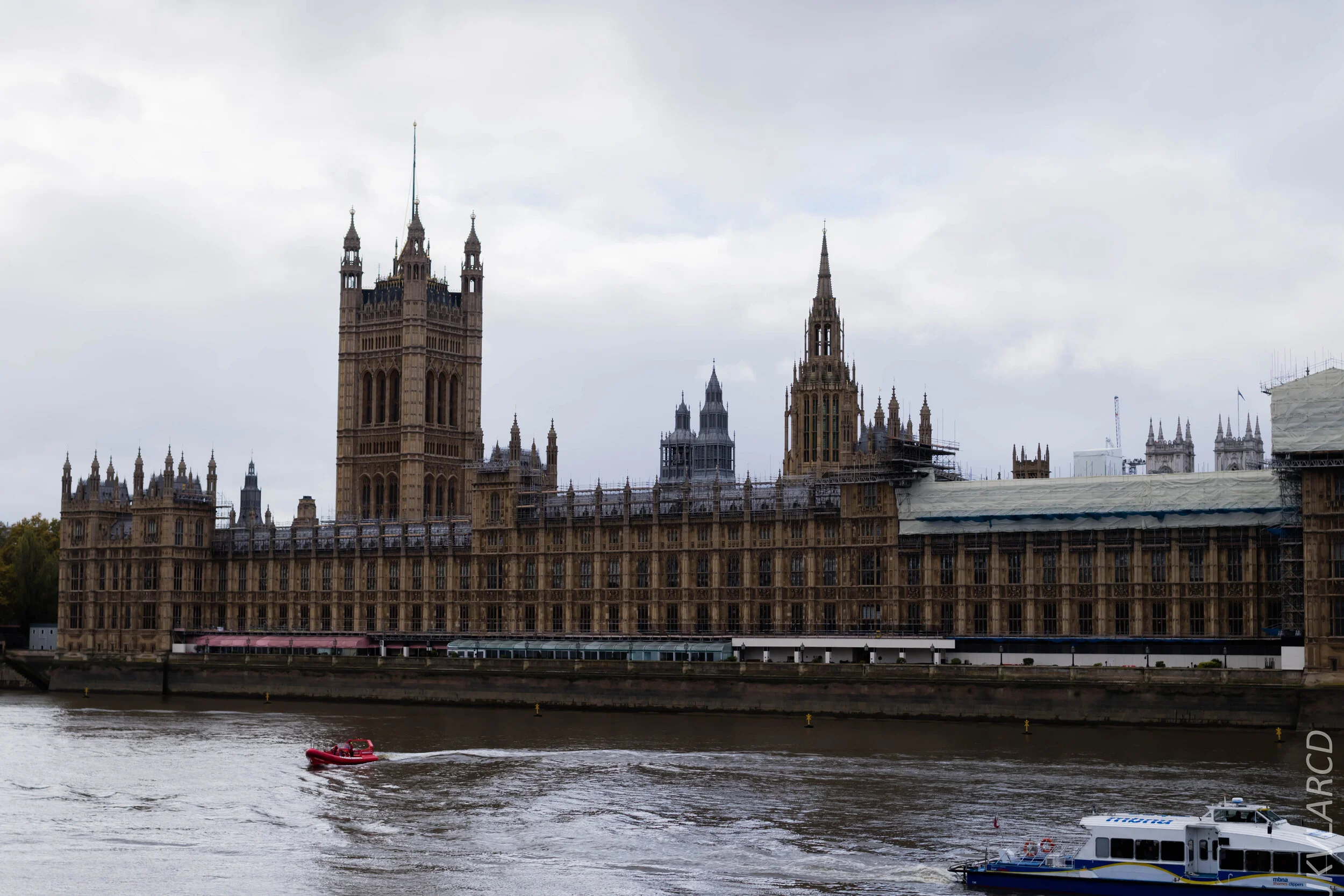EOS 7D Mark II_2019_11_03_7429.jpg