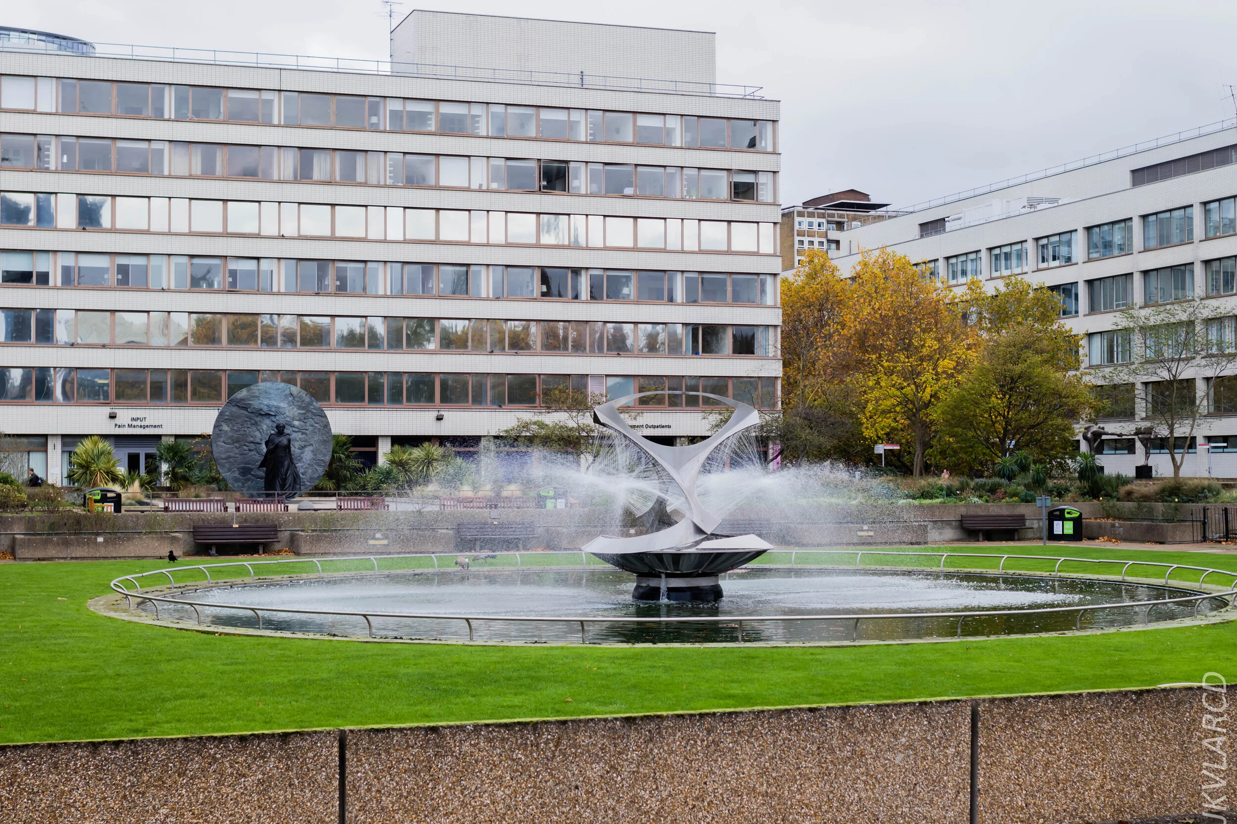 EOS 7D Mark II_2019_11_03_7428.jpg