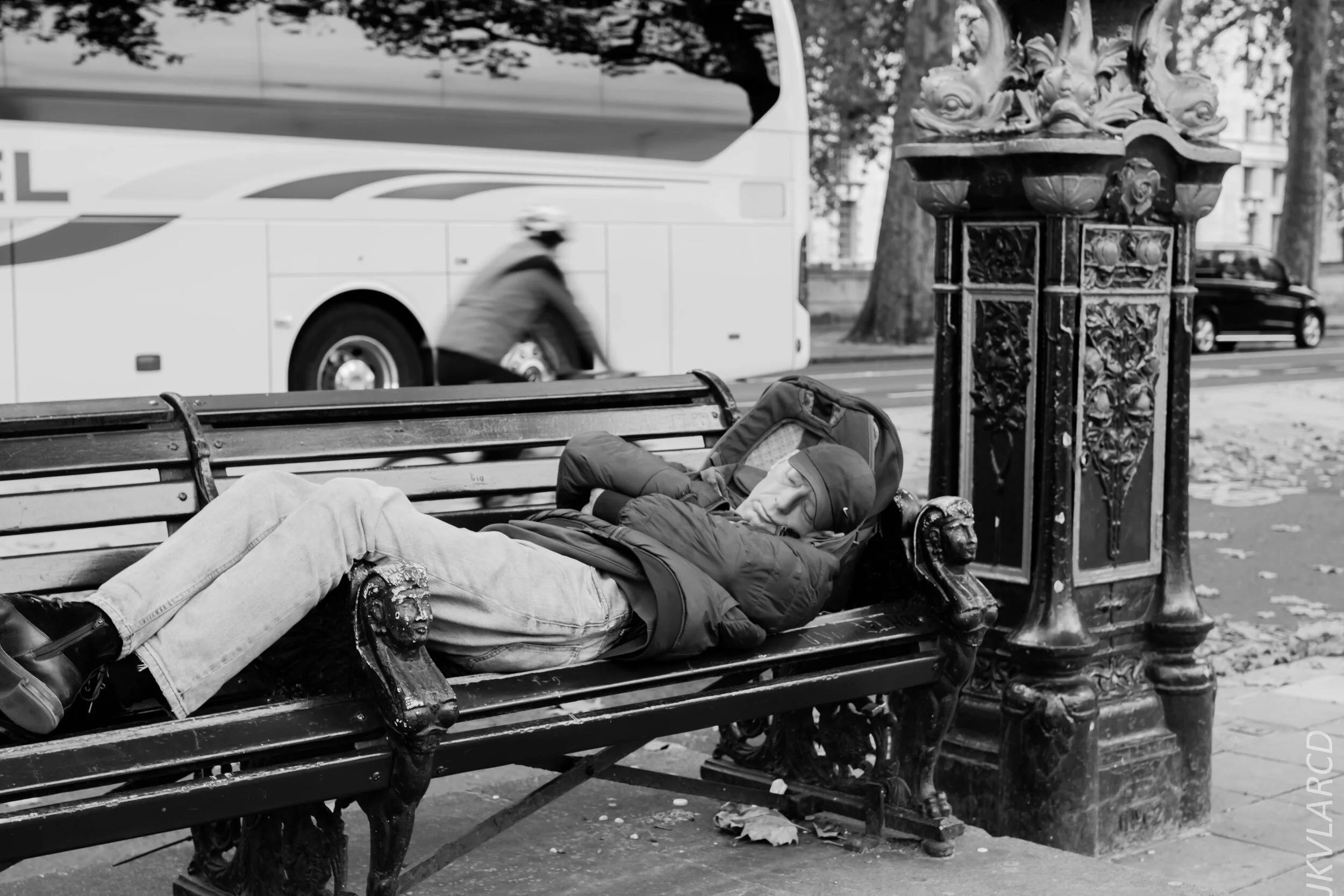 EOS 7D Mark II_2019_11_03_7435.jpg