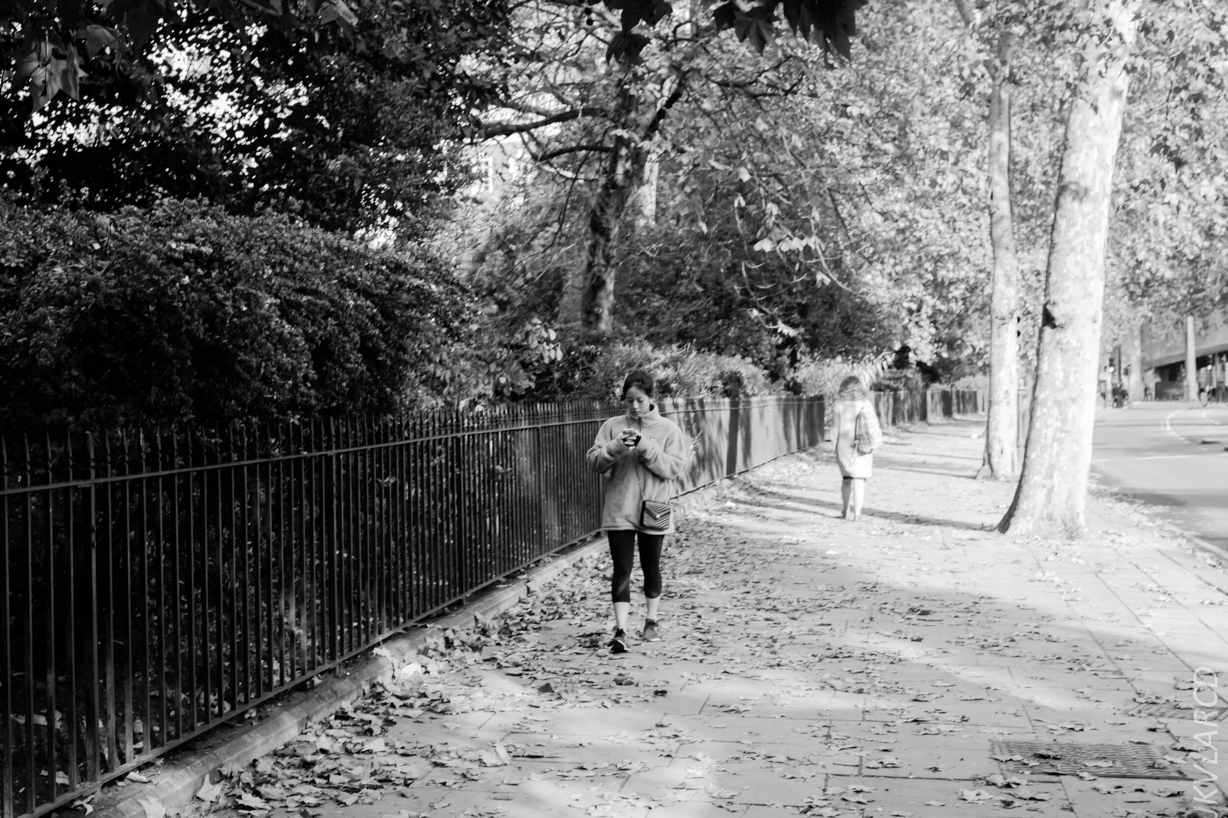 EOS 7D Mark II_2019_11_03_7436.jpg