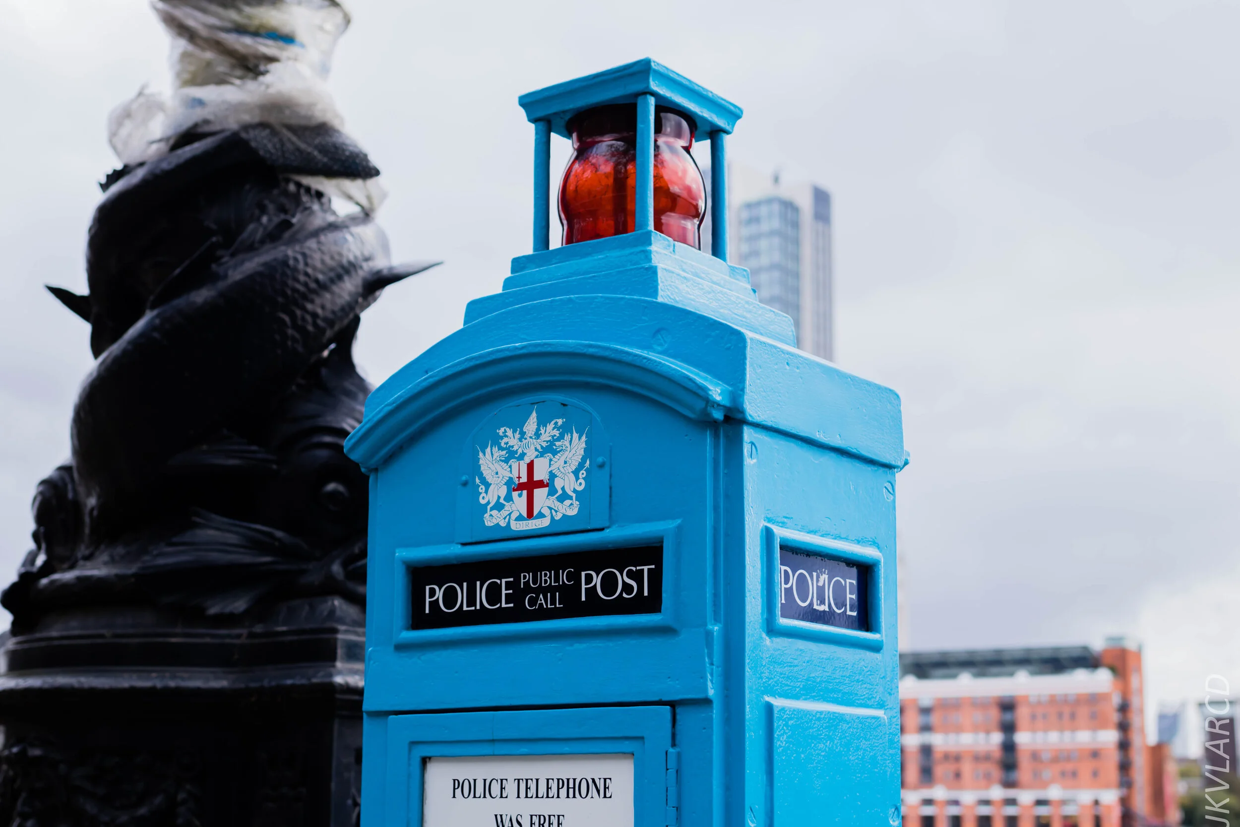 EOS 7D Mark II_2019_11_03_7441.jpg