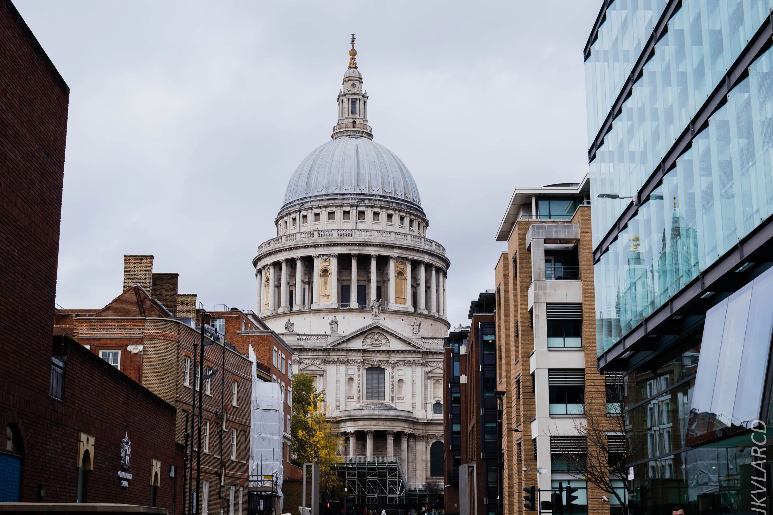 EOS 7D Mark II_2019_11_03_7447.jpg