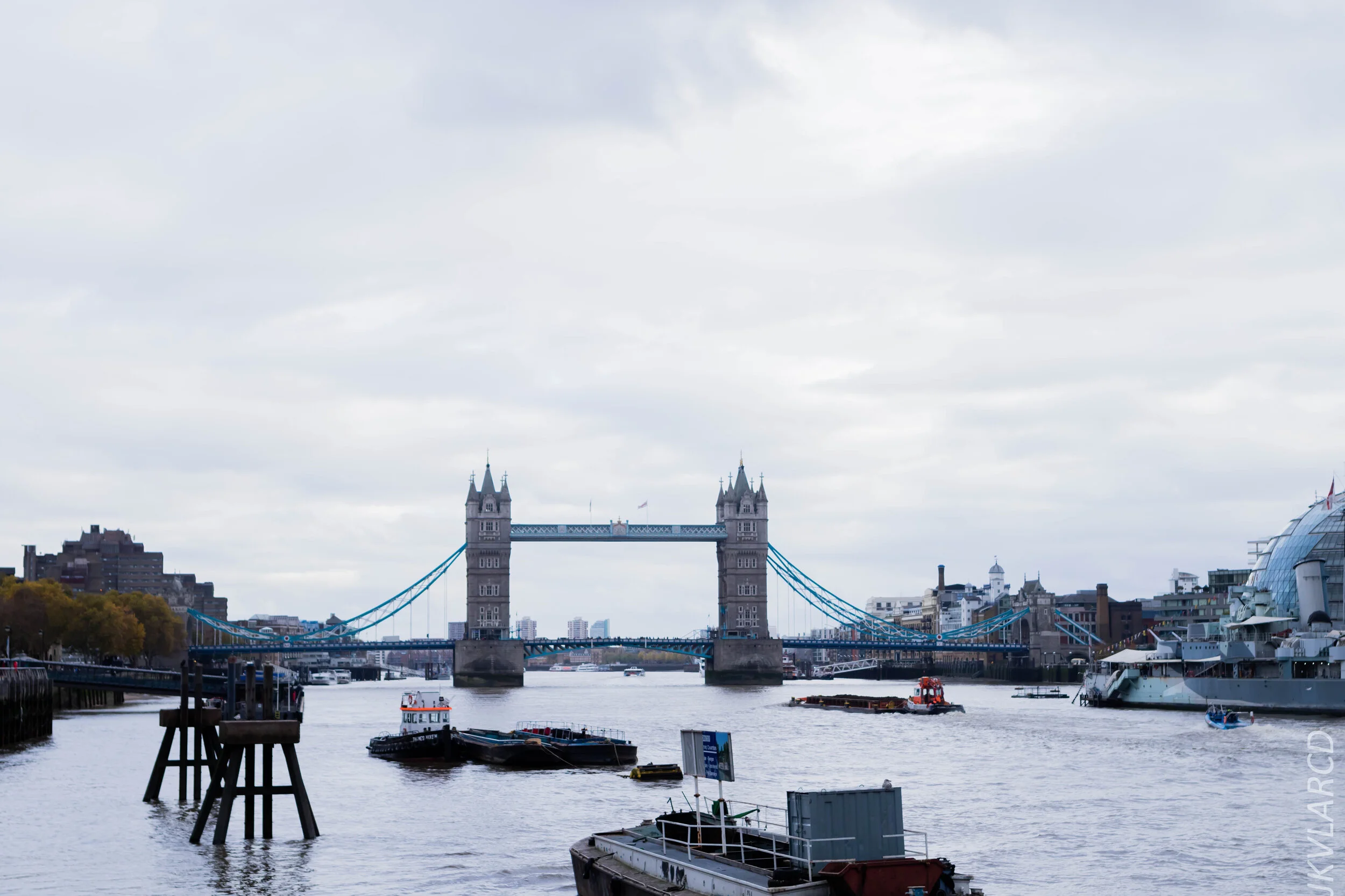 EOS 7D Mark II_2019_11_03_7454.jpg