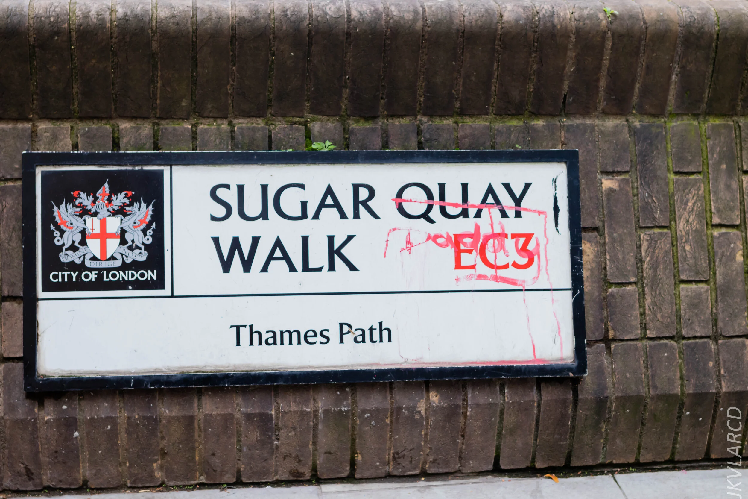 EOS 7D Mark II_2019_11_03_7456.jpg