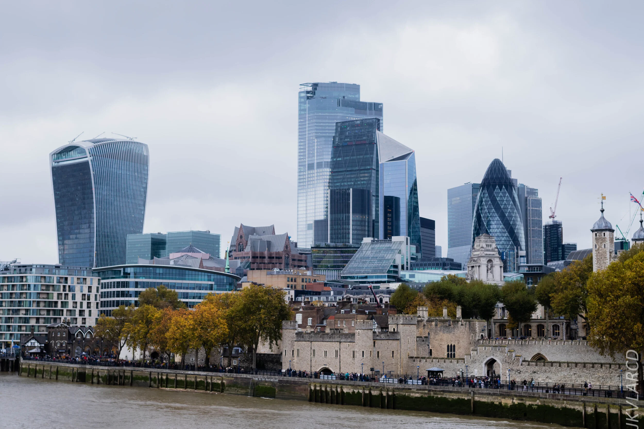 EOS 7D Mark II_2019_11_03_7464.jpg