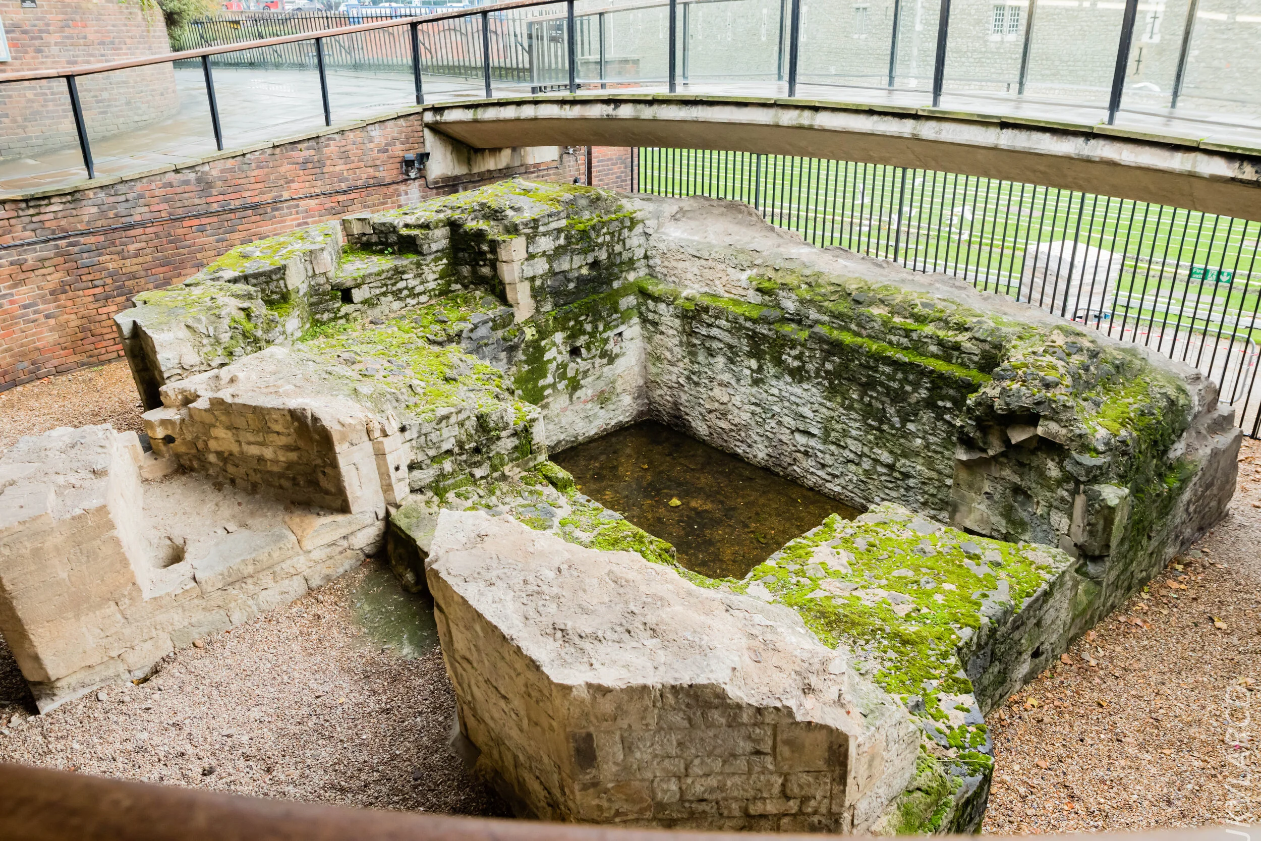 EOS 7D Mark II_2019_11_03_7465.jpg