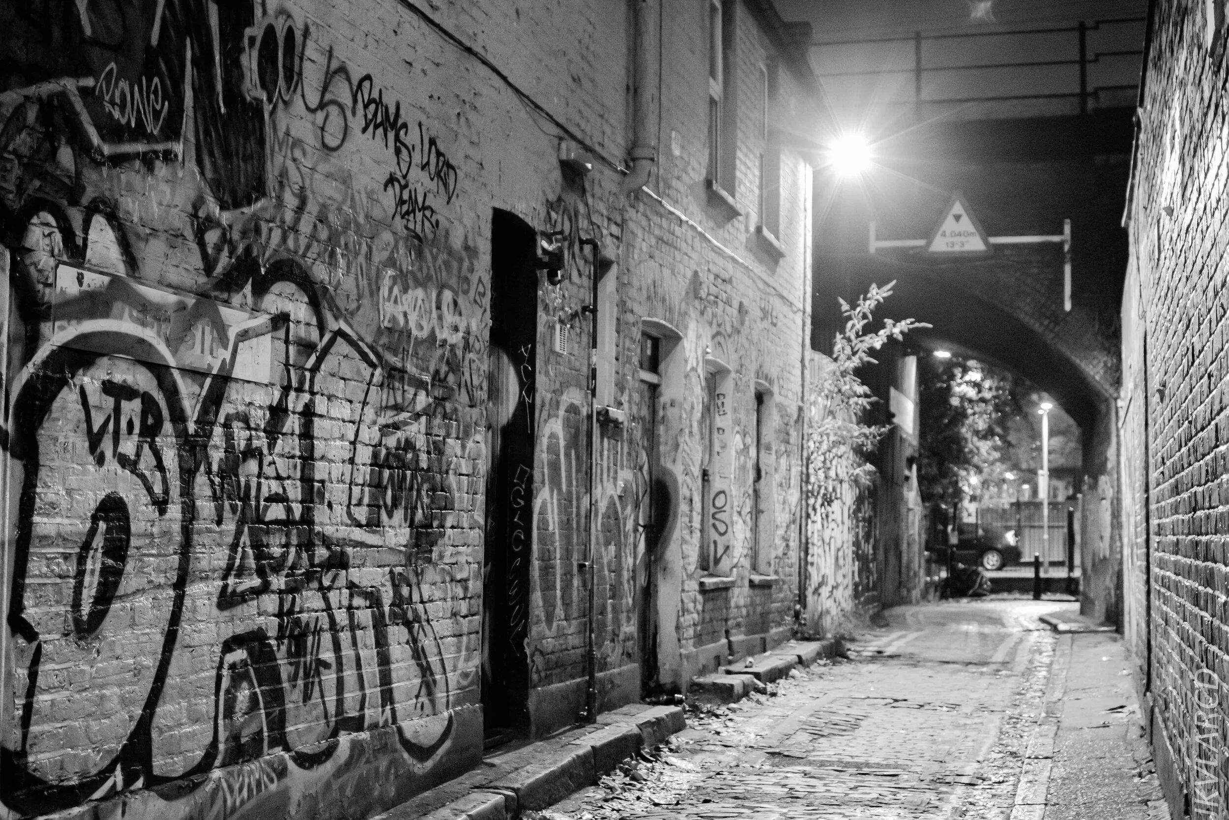 EOS 7D Mark II_2019_11_04_7484.jpg