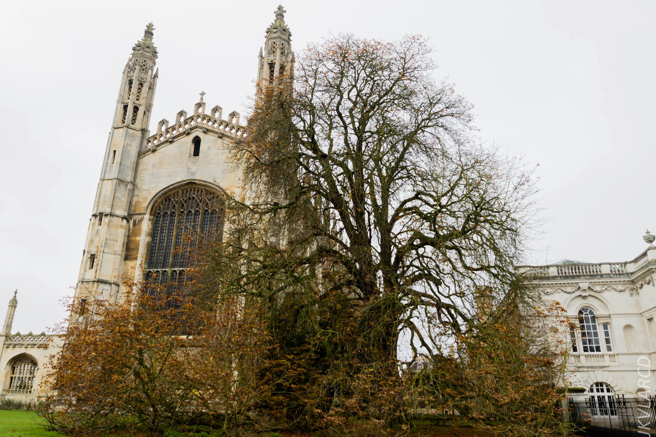 EOS 7D Mark II_2019_11_05_7515.jpg