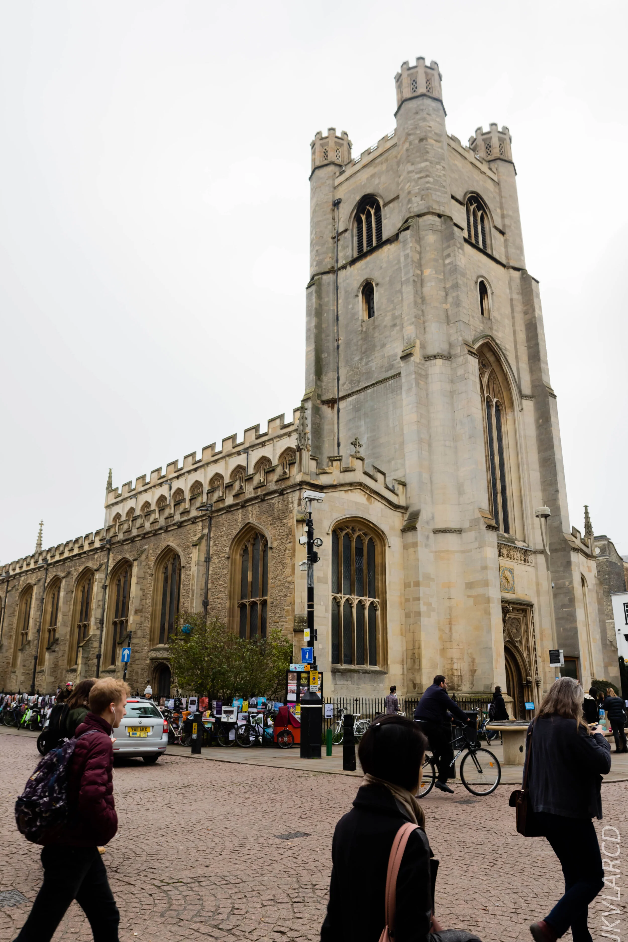 EOS 7D Mark II_2019_11_05_7526.jpg